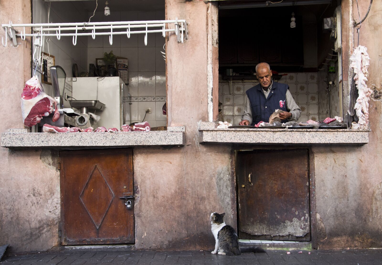 Nikon D3100 sample photo. Butcher's shop, cat, meat photography