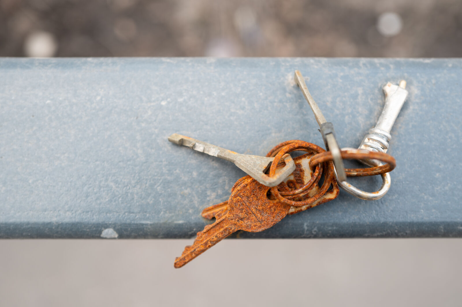 Leica Q3 sample photo. Forgotten keys photography