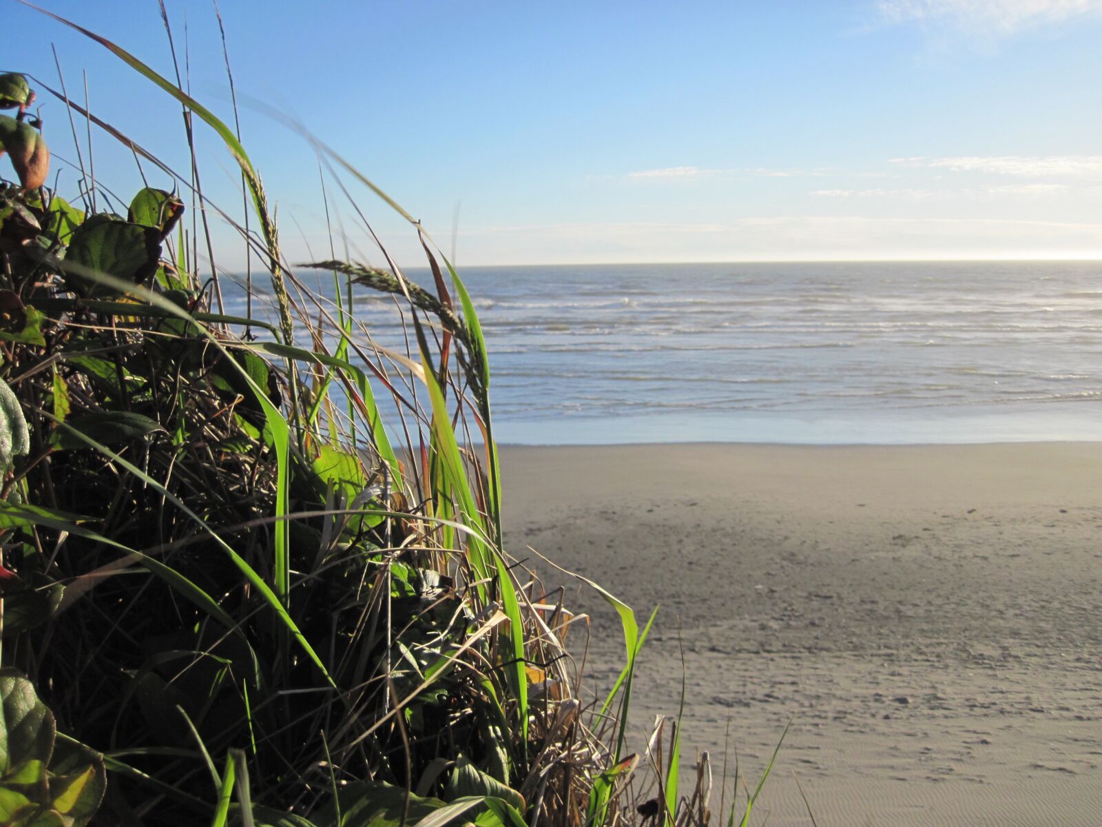 Canon PowerShot D10 sample photo. Pacific ocean, beach, beach photography