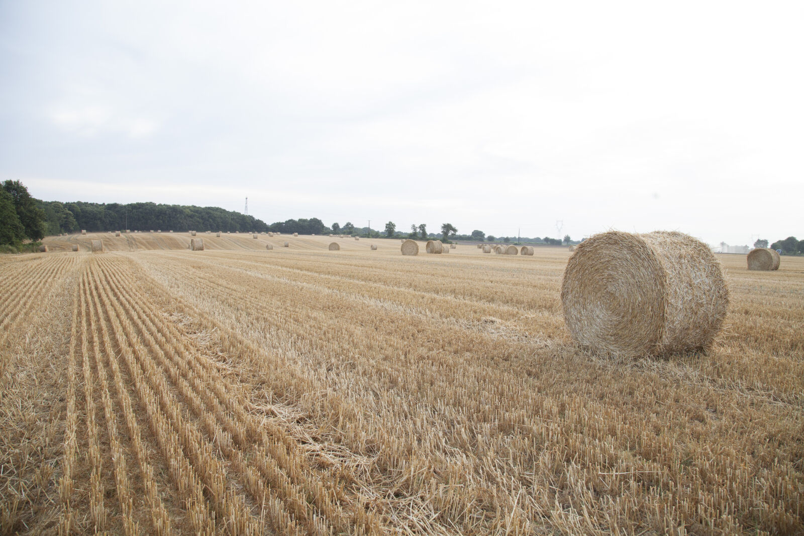 Canon EF 24-105mm F4L IS USM sample photo. Agricultural, agricultural, machine, field photography