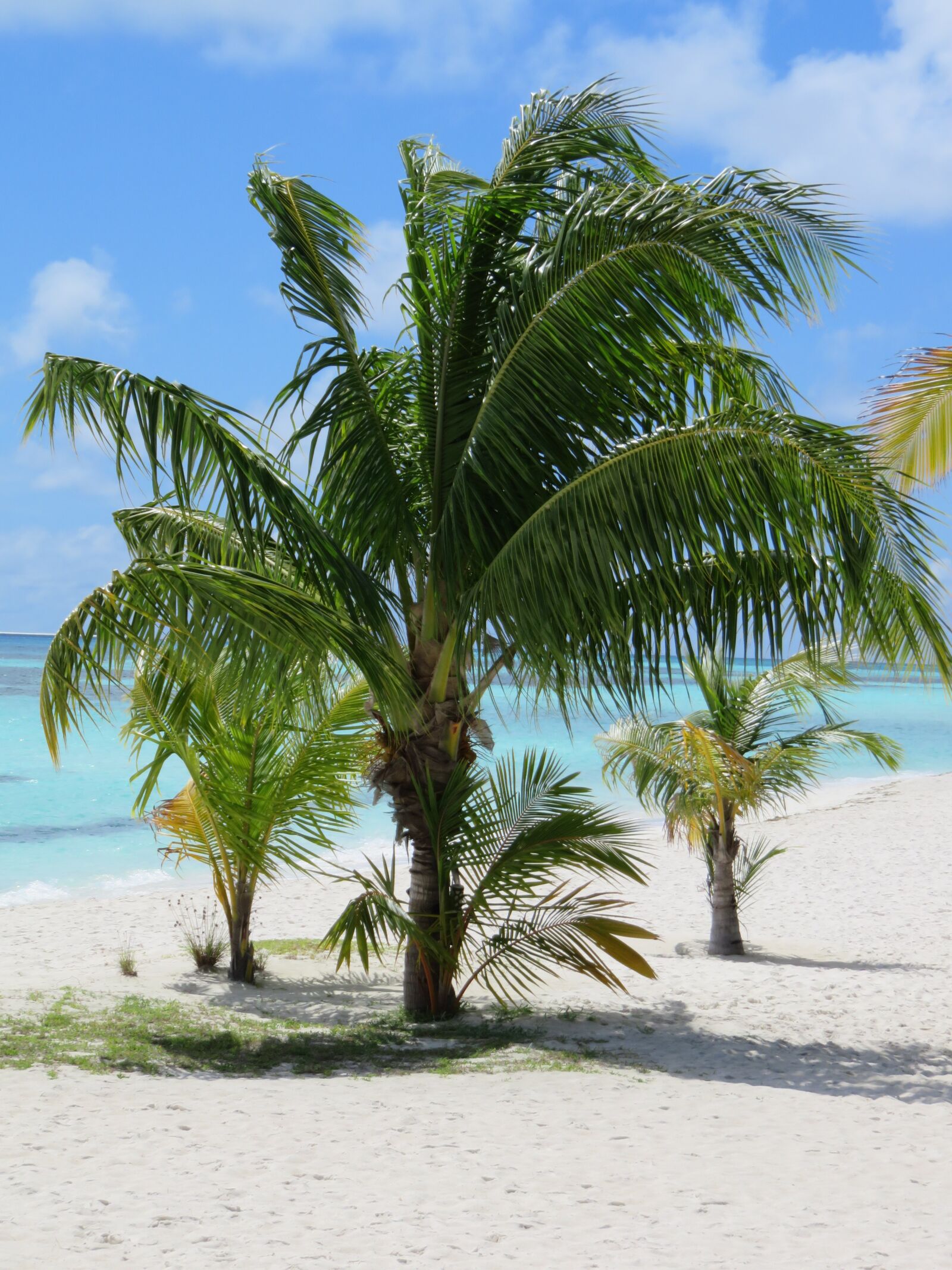 Canon PowerShot SX710 HS sample photo. Maldives, kuredu, indian ocean photography