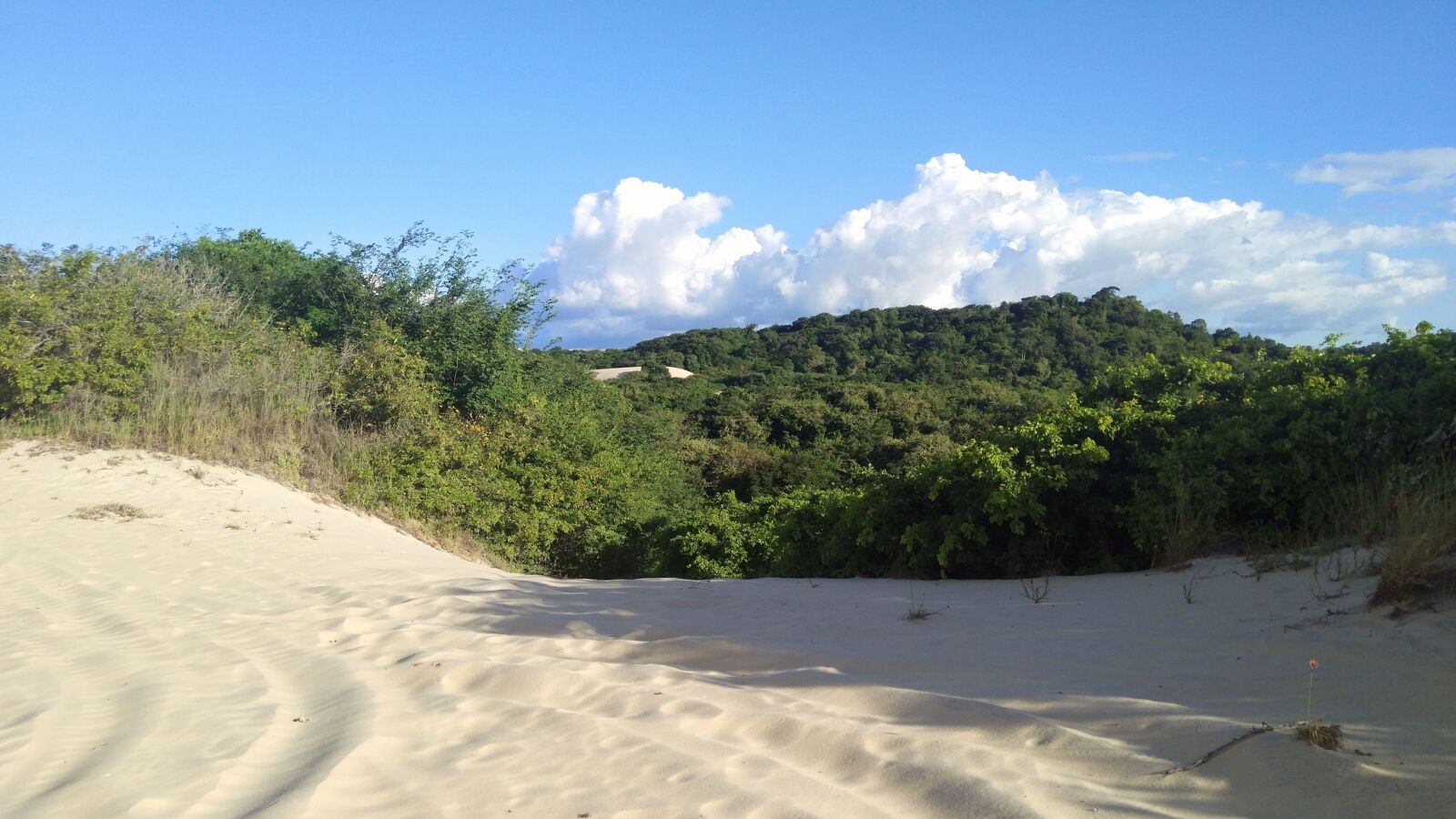 Xiaomi MIX sample photo. Beach, sand, landscape photography