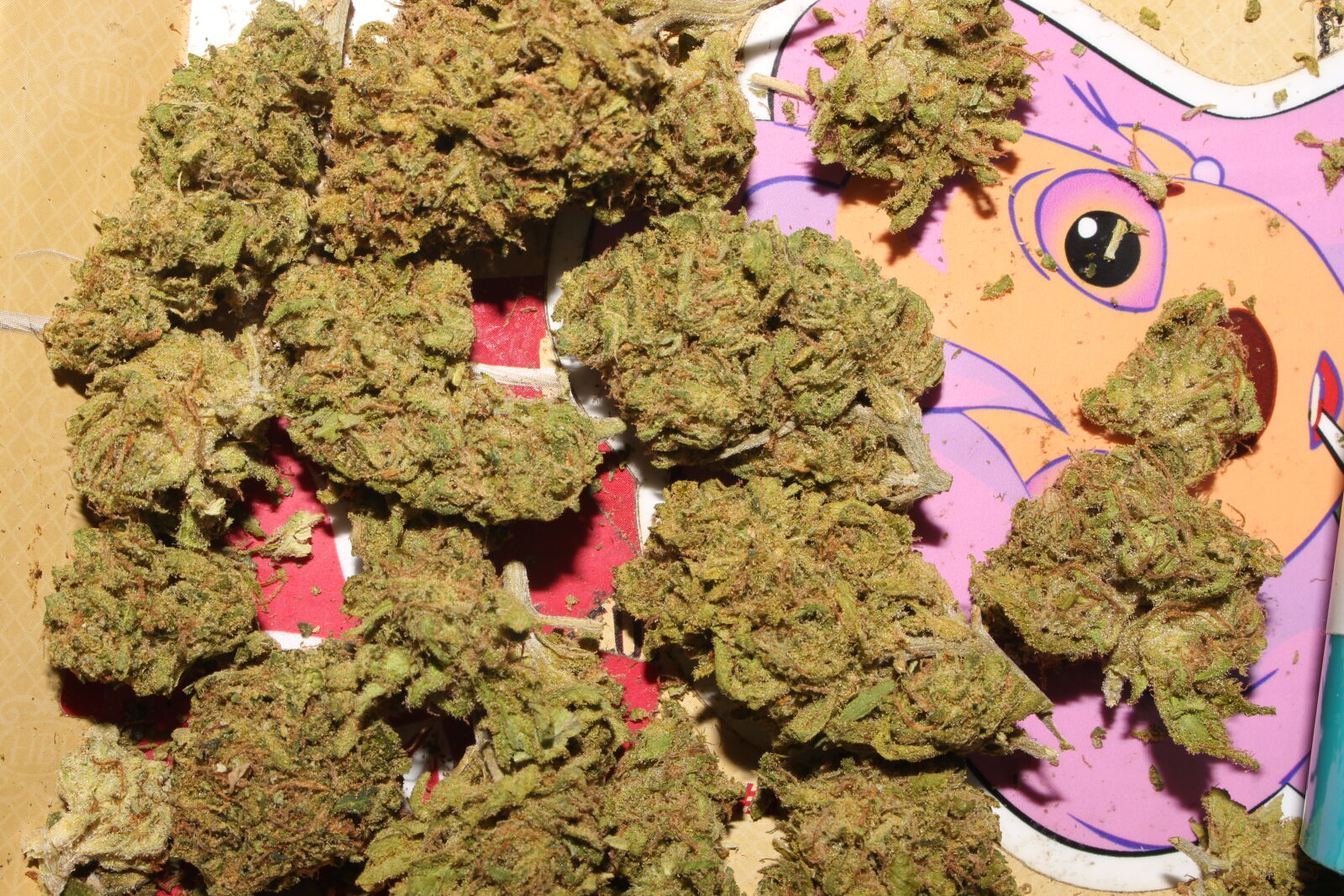 Canon EOS 700D (EOS Rebel T5i / EOS Kiss X7i) sample photo. 420, 710, buds, cannabis photography