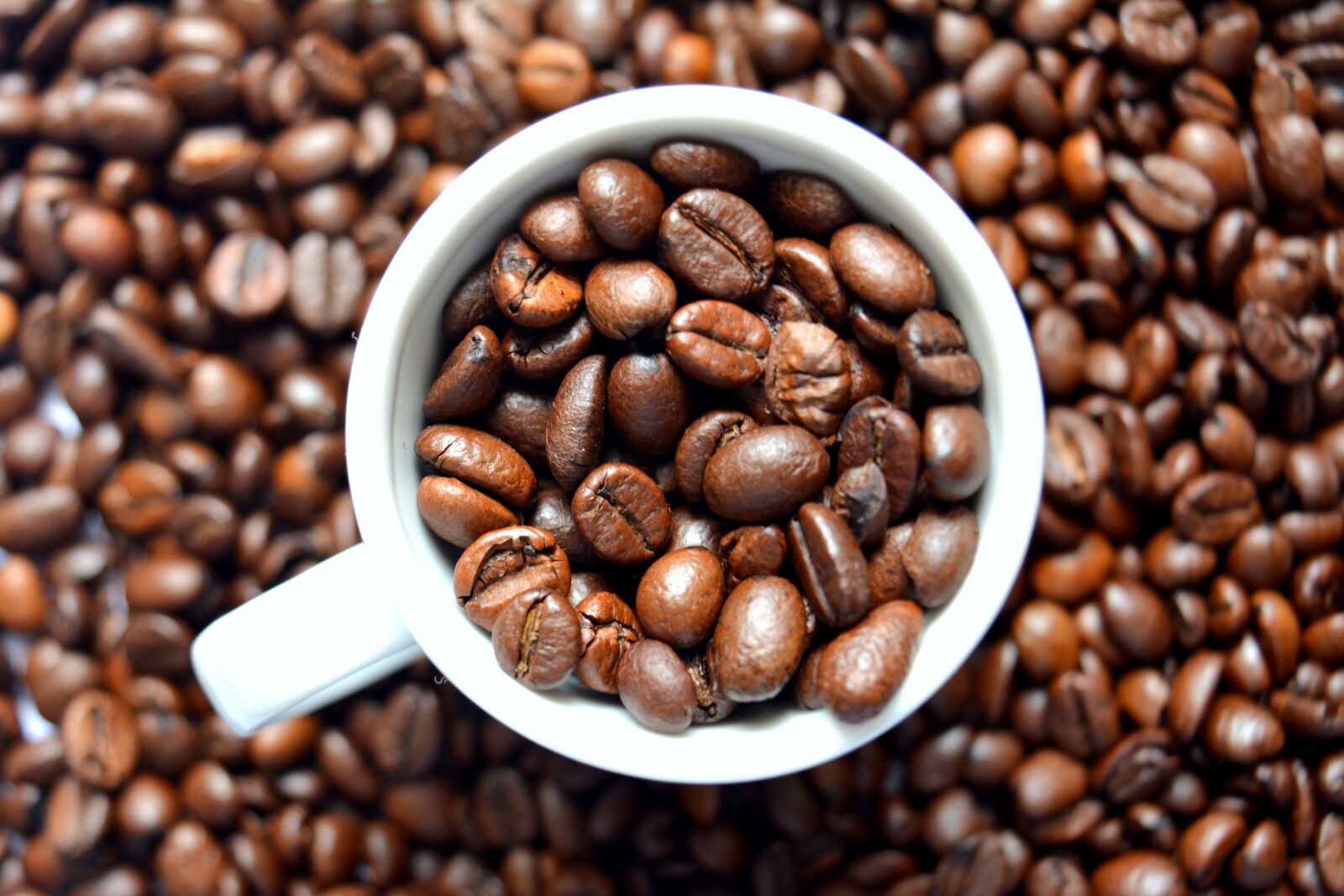 Nikon D5200 sample photo. Coffee, white mug, white photography