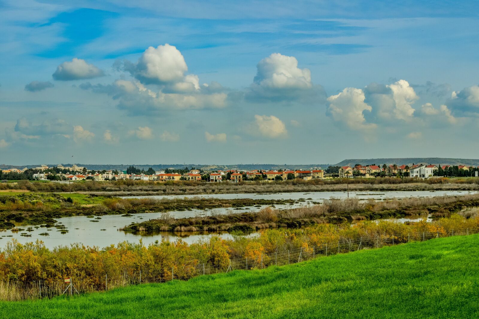 Nikon D3300 sample photo. Lake, swamp, nature photography