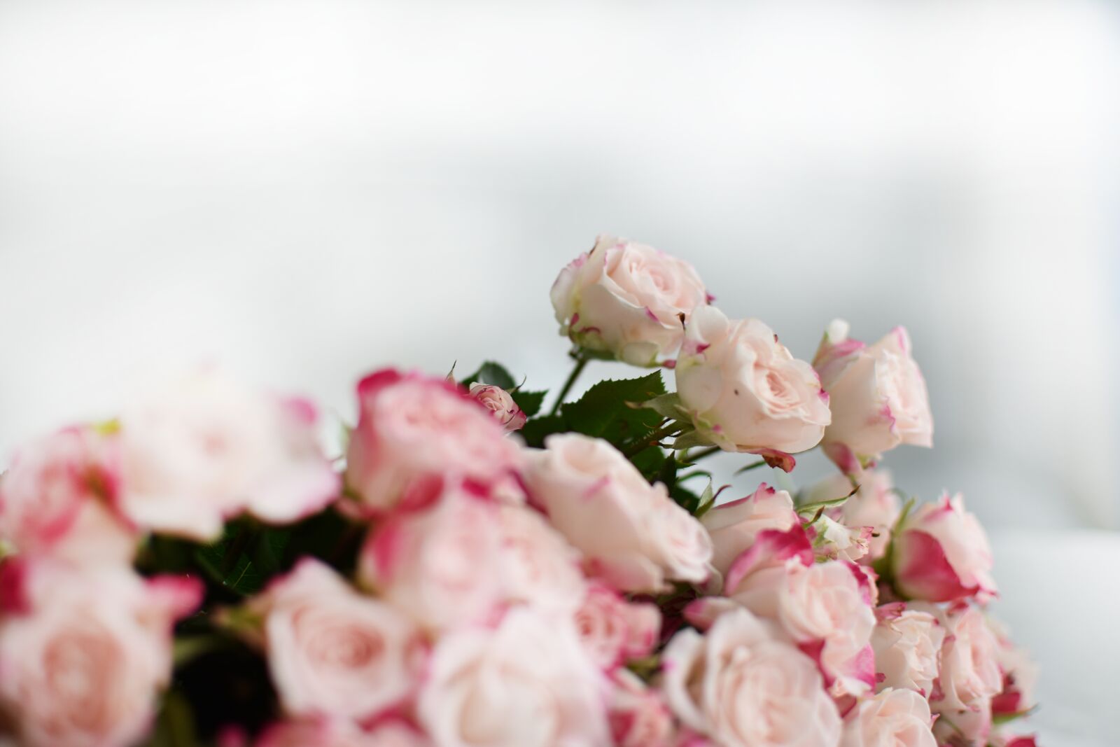 Nikon D3400 sample photo. Rose, bouquet, flowers photography