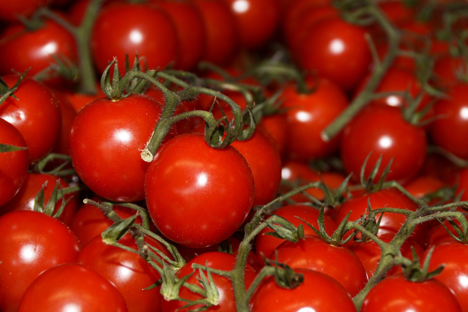 Nikon D7100 sample photo. Tomatoes, vegetables, food photography