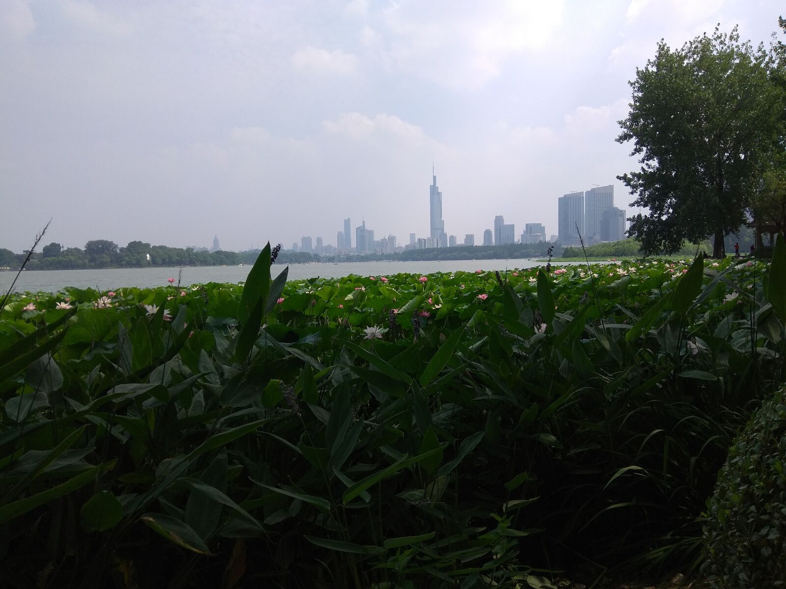 Xiaomi Redmi Note 4X sample photo. Xuanwu lake, lake, nanjing photography