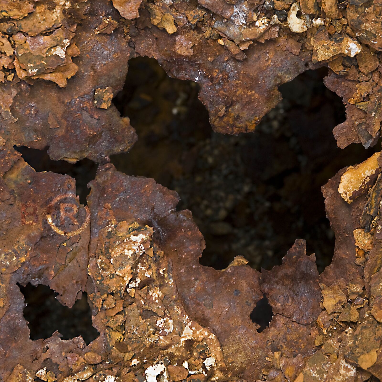 Nikon D3 sample photo. Rust, iron, maturity photography