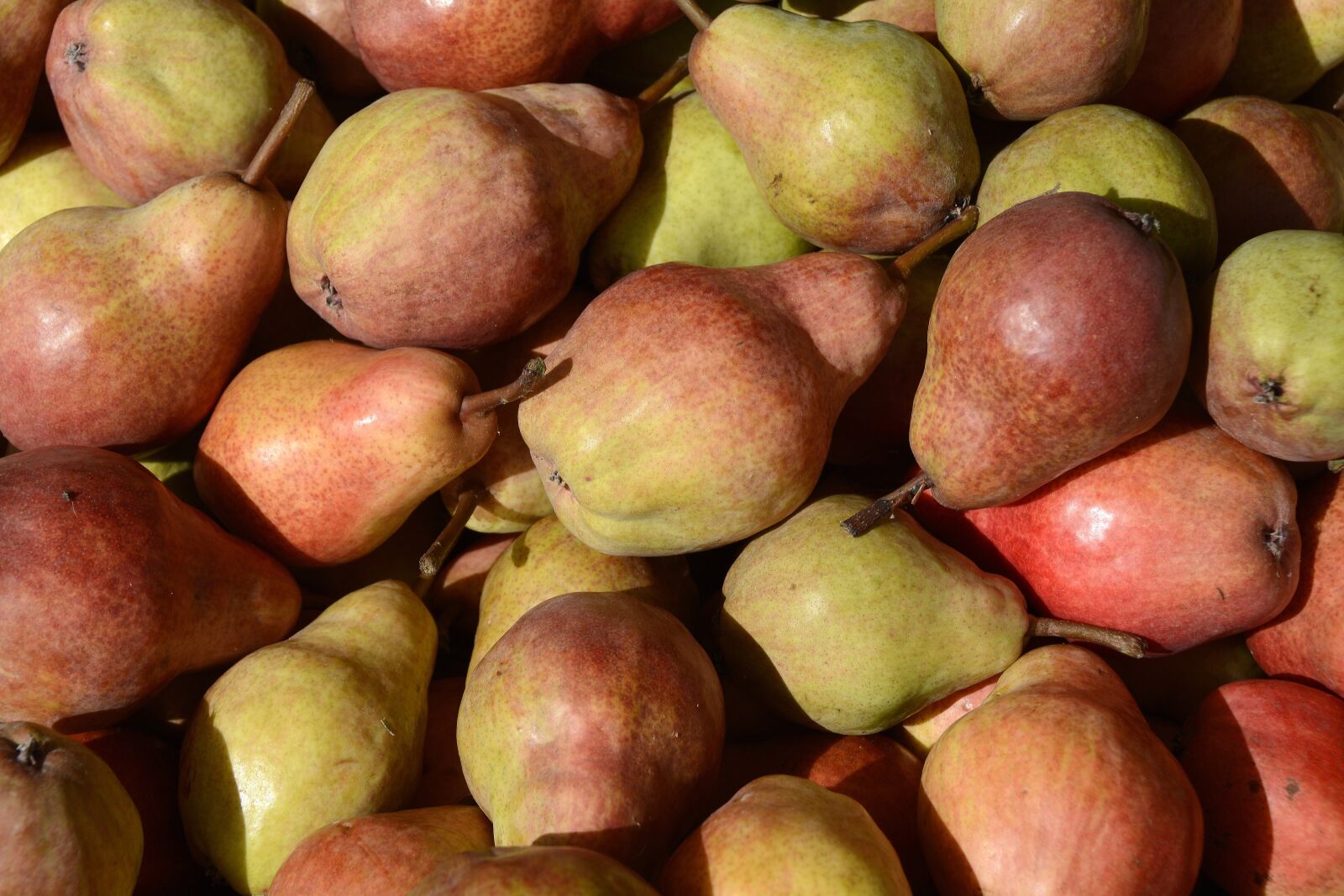 Nikon D7100 sample photo. Pears, fruit, healthy photography