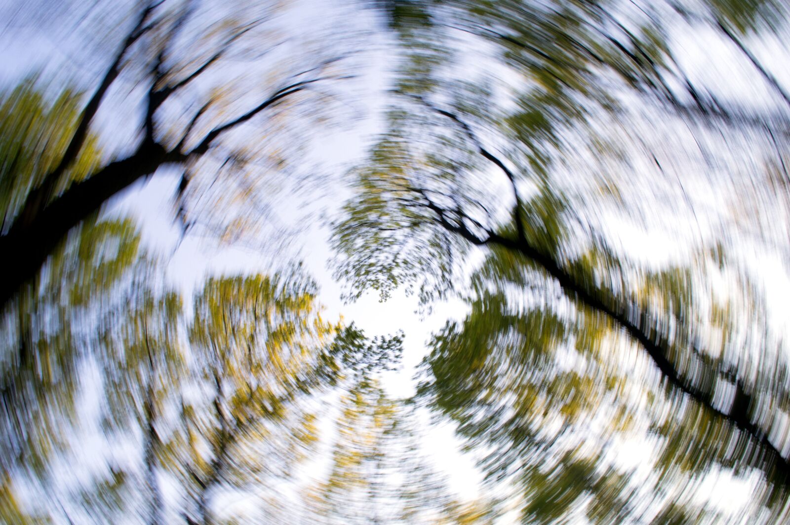 Nikon D3200 sample photo. Forest, trees, sky photography