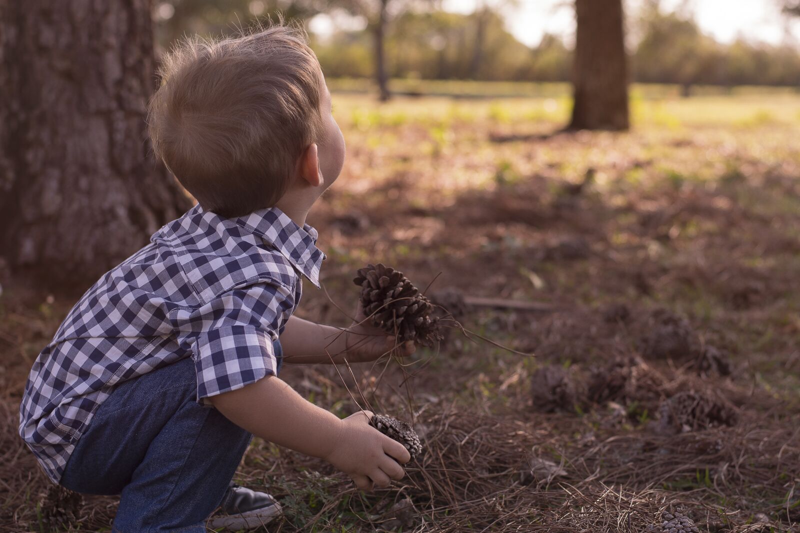 Nikon D7200 sample photo. Child, exploring, nature photography