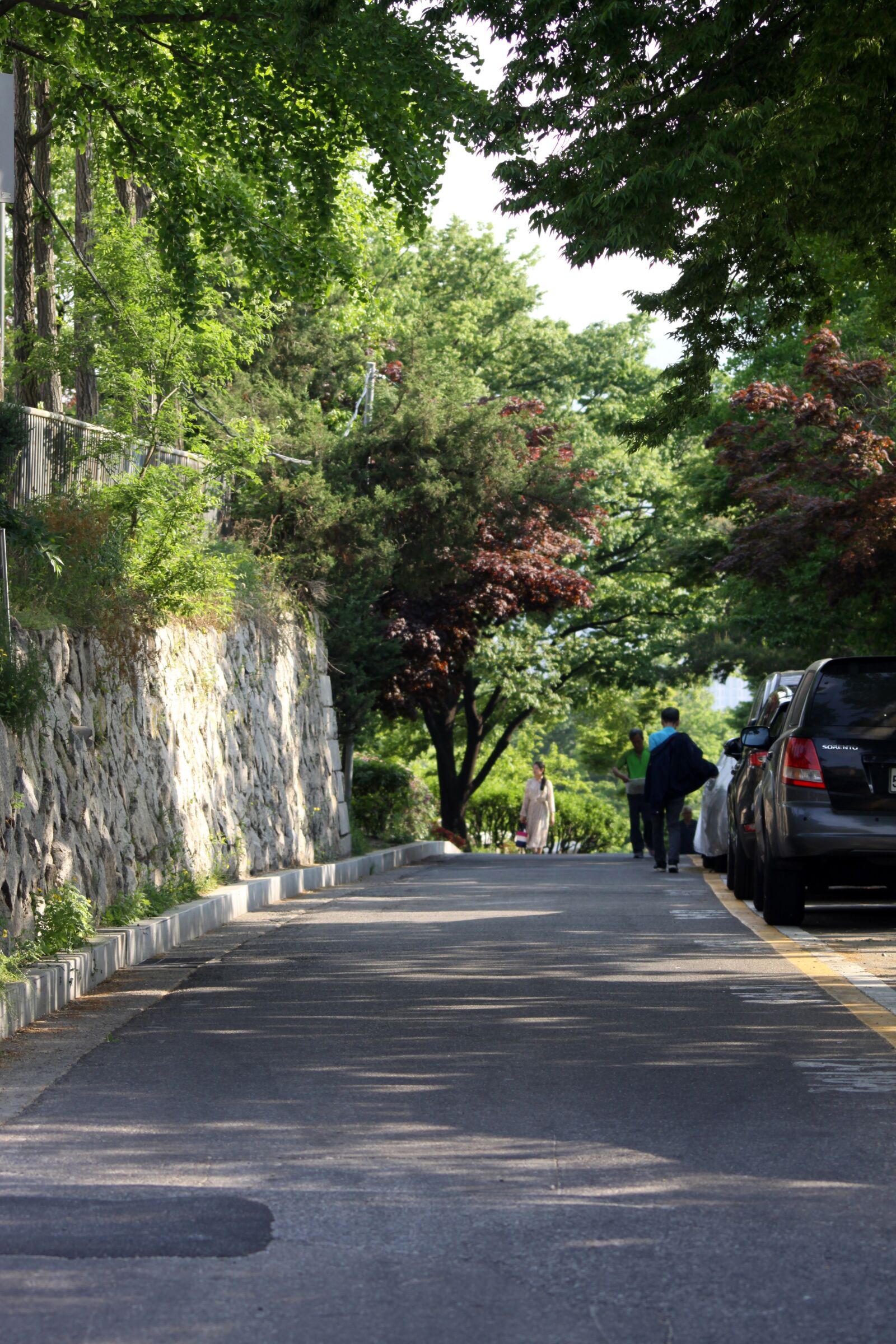 Canon EOS 50D sample photo. Street, gil, green photography