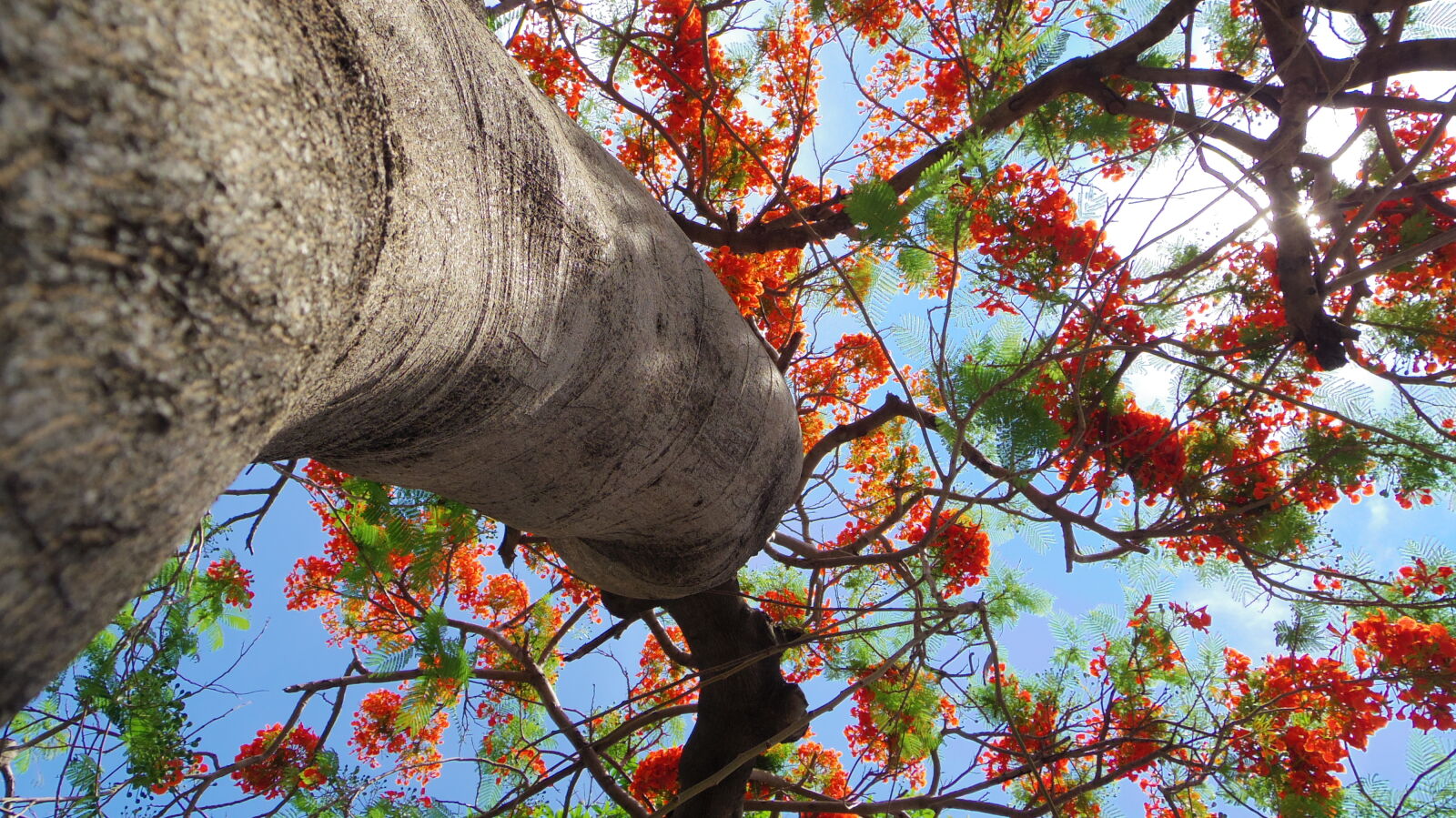 Pentax Q7 sample photo