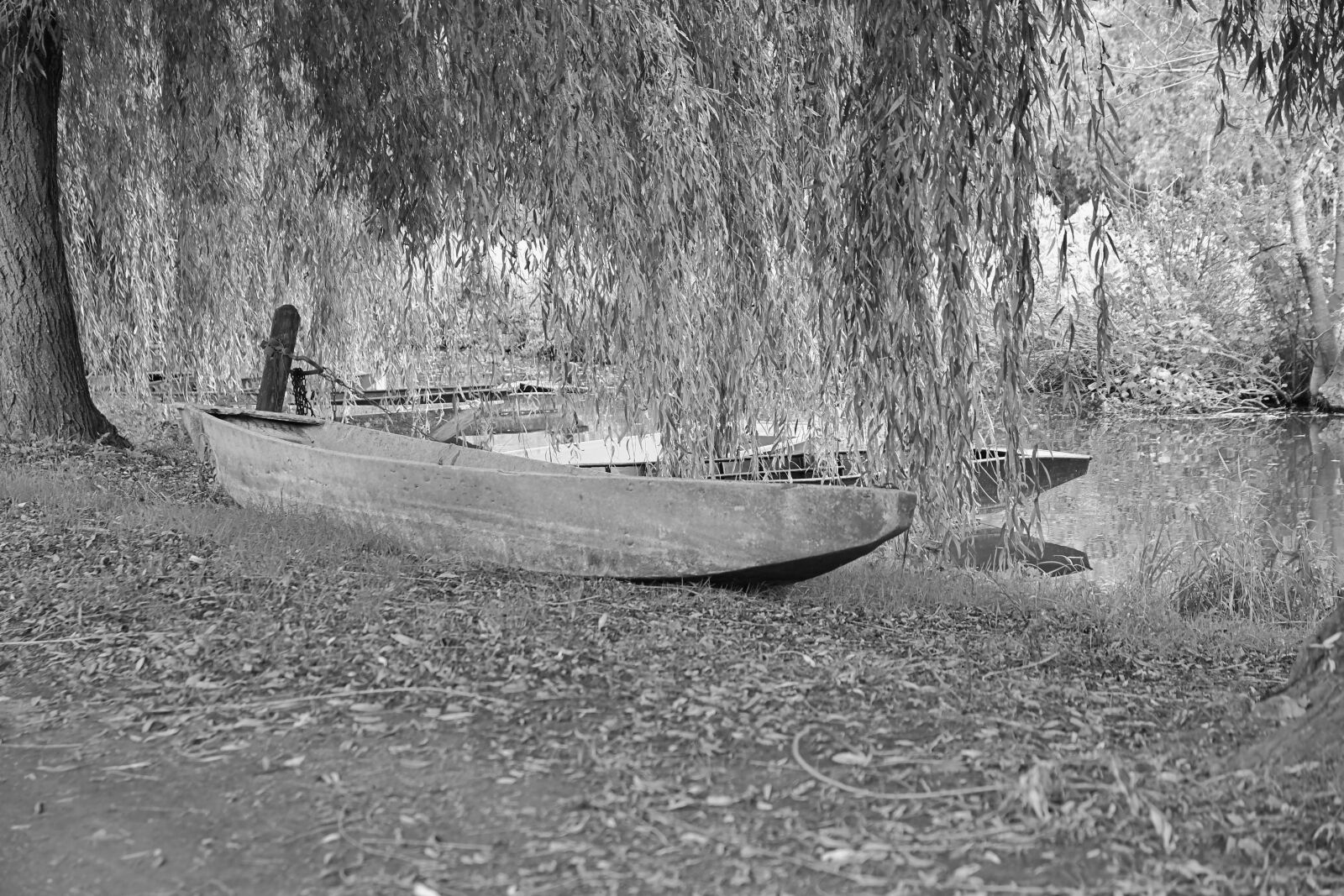 Nikon D500 sample photo. Boat, landscape, nature photography