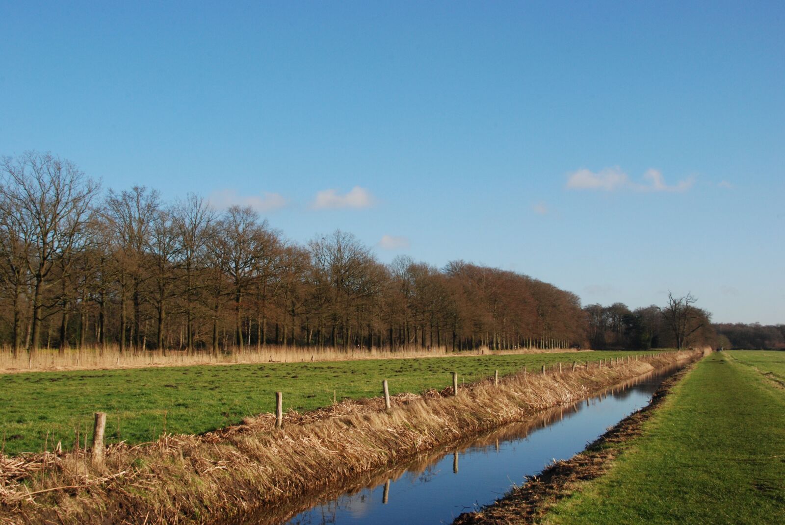 Nikon D80 sample photo. Landscape, nature, water photography