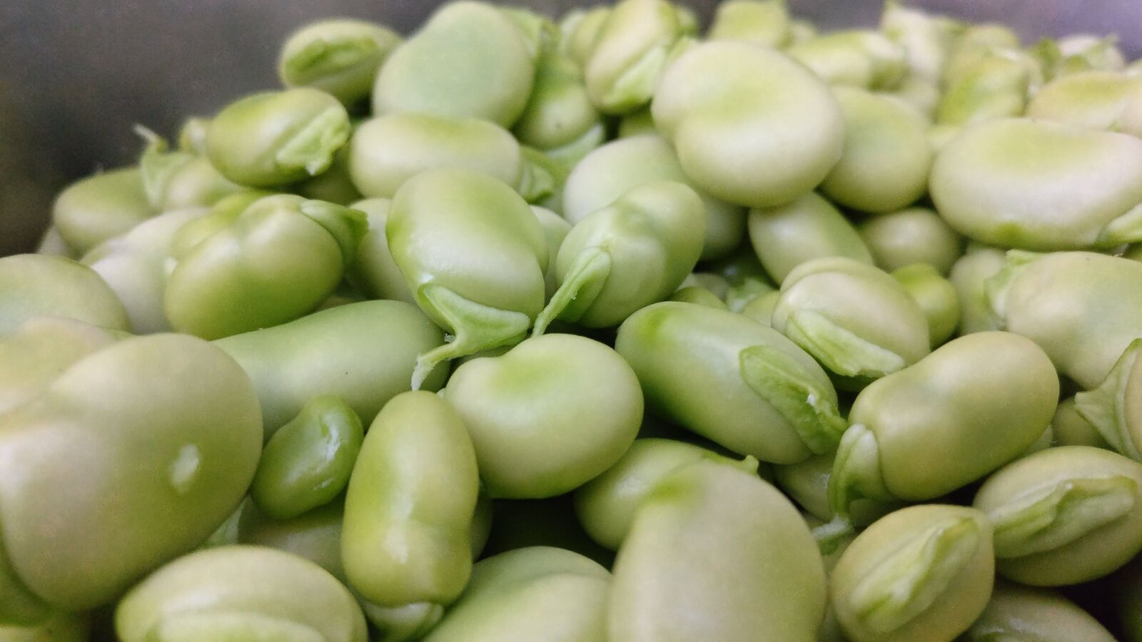 OnePlus A3003 sample photo. Vegetable, food, haba photography