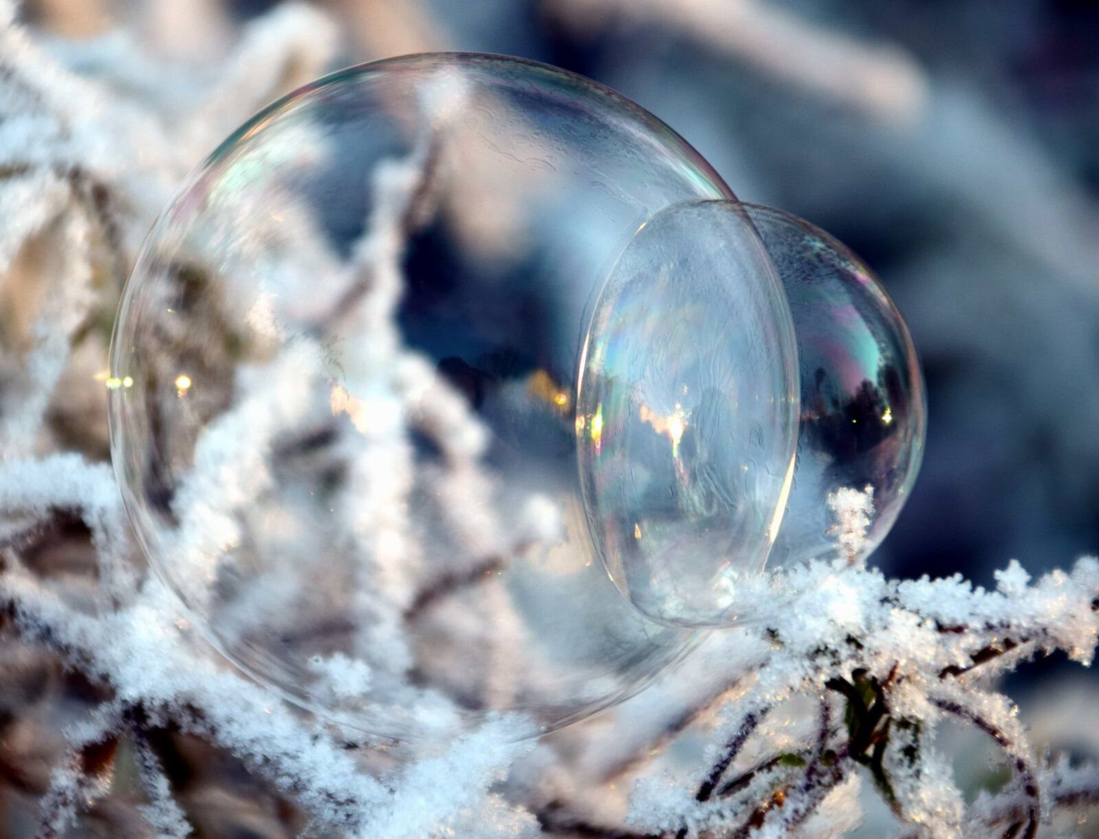 Nikon D3300 sample photo. Nature, winter, snow, sphere photography