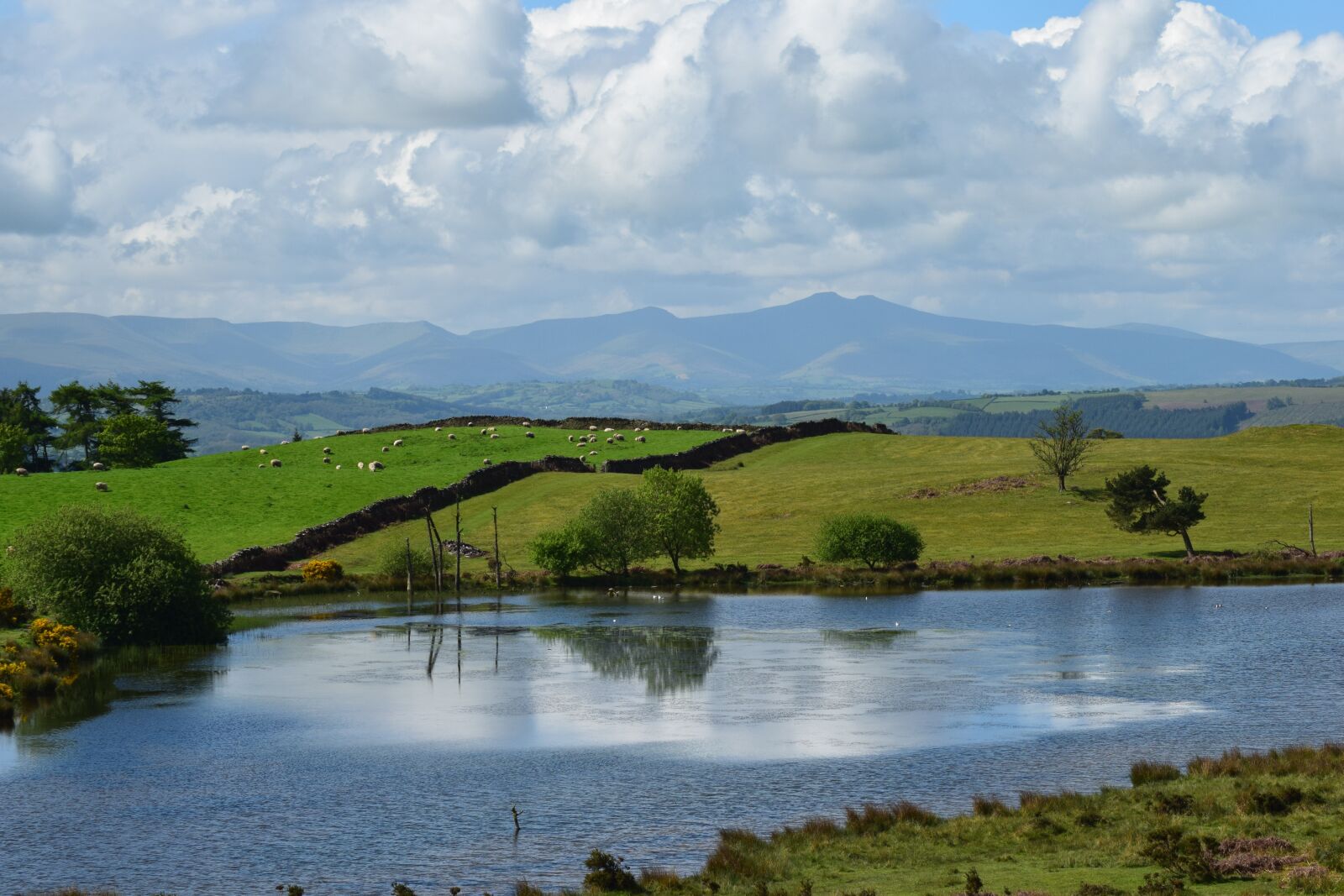 Nikon D3300 sample photo. Nature, water, landscape photography