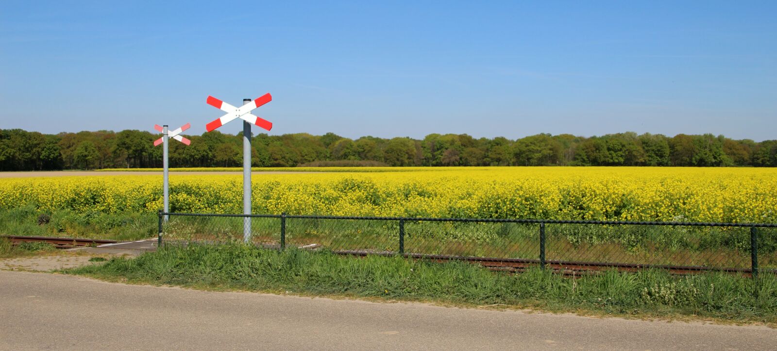 Canon EOS 100D (EOS Rebel SL1 / EOS Kiss X7) sample photo. Rapeseed field, railway crossing photography