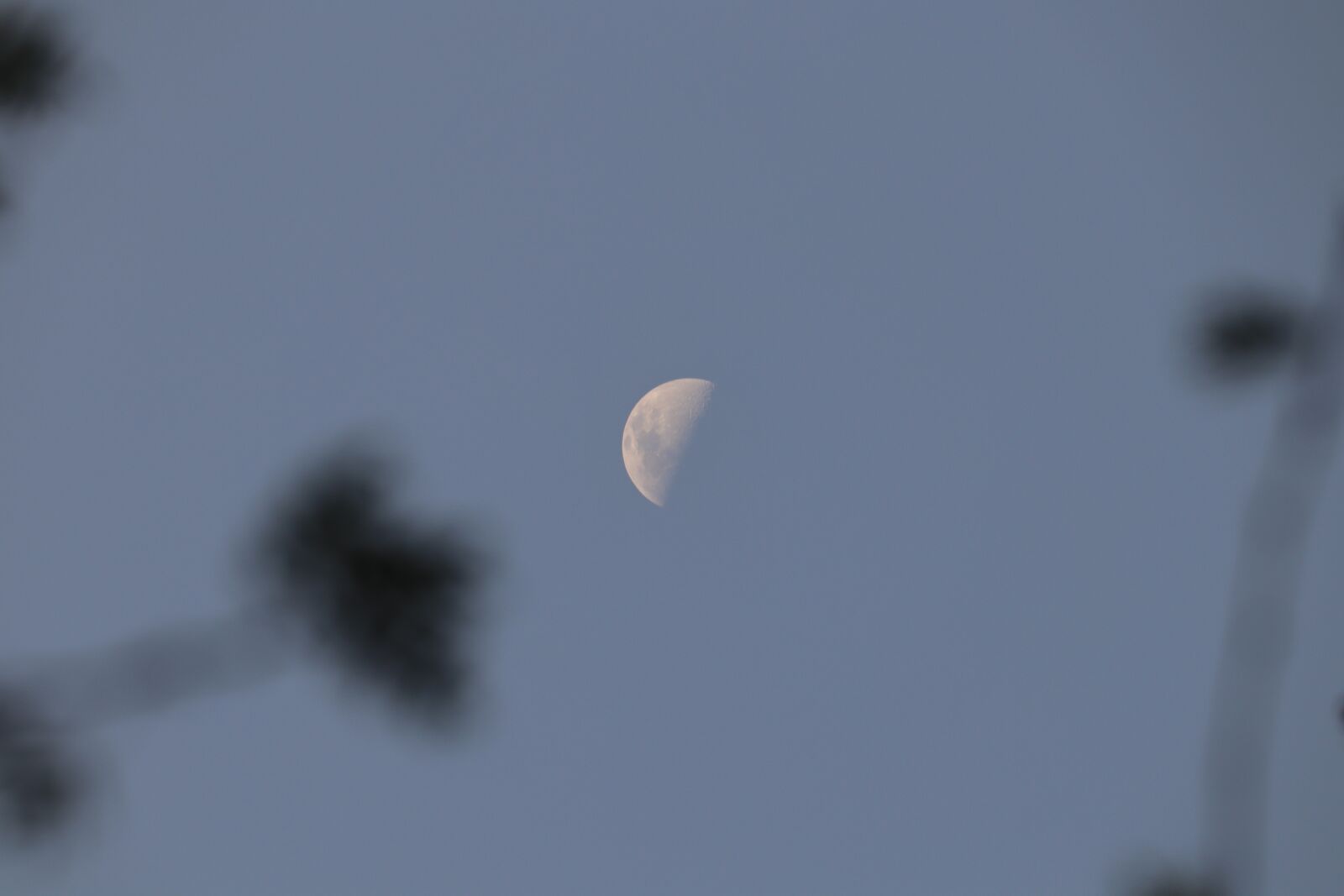 Canon EOS 250D (EOS Rebel SL3 / EOS Kiss X10 / EOS 200D II) sample photo. Moon, sky, nature photography