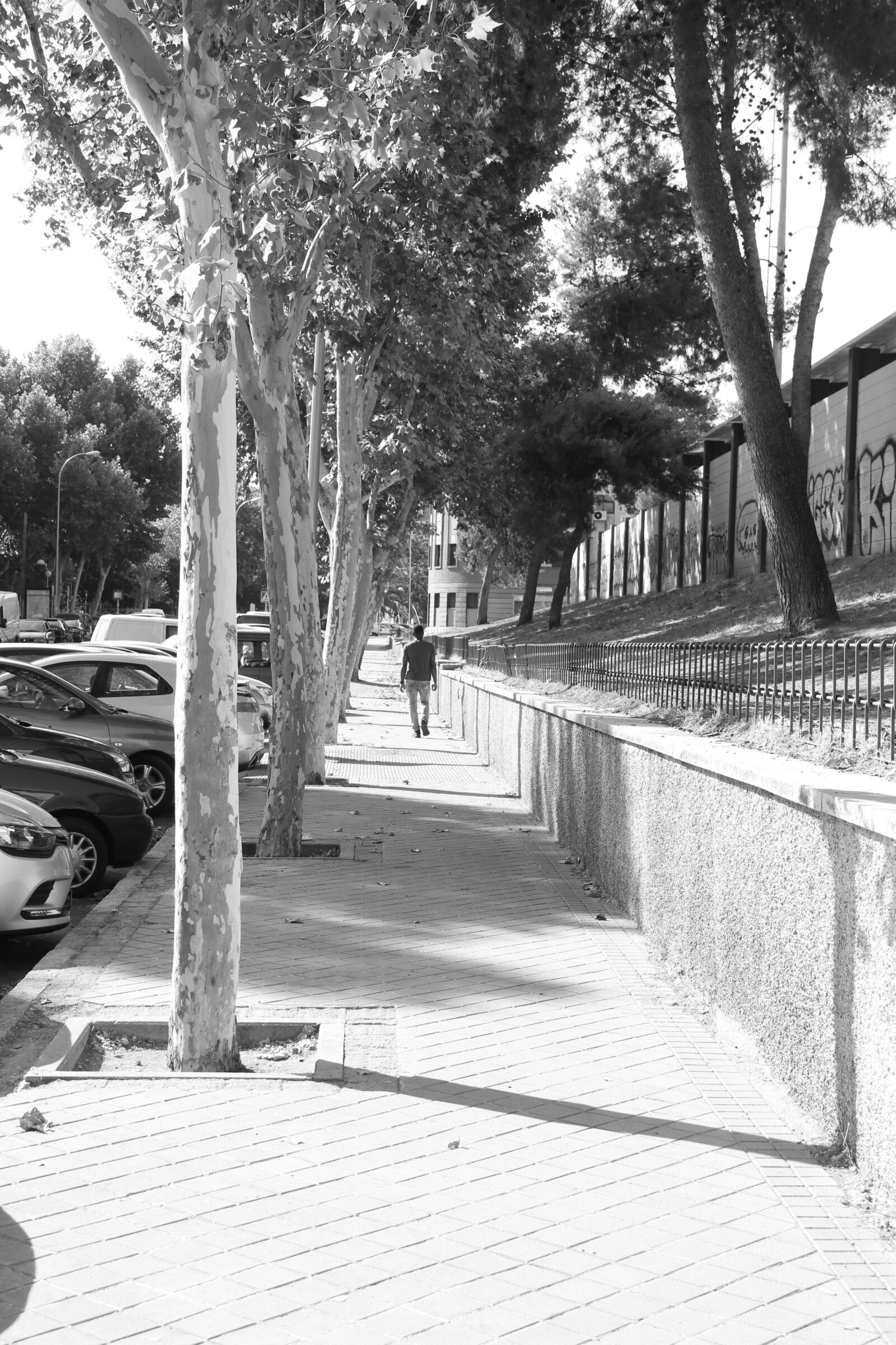 Canon EOS 4000D (EOS Rebel T100 / EOS 3000D) sample photo. Summer, city, vacation photography
