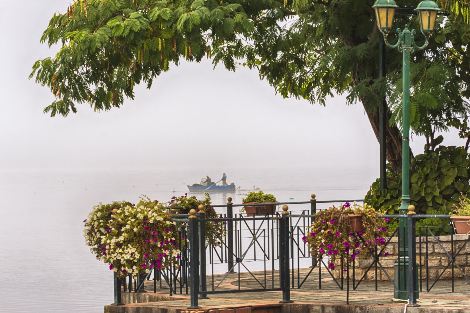 Nikon D7200 sample photo. Fog, autumn, foggy photography