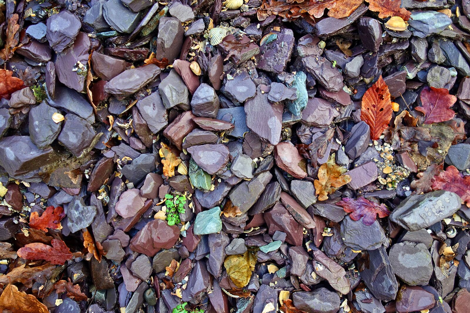 Sony Cyber-shot DSC-RX100 sample photo. Stones, pebbles, rocks photography