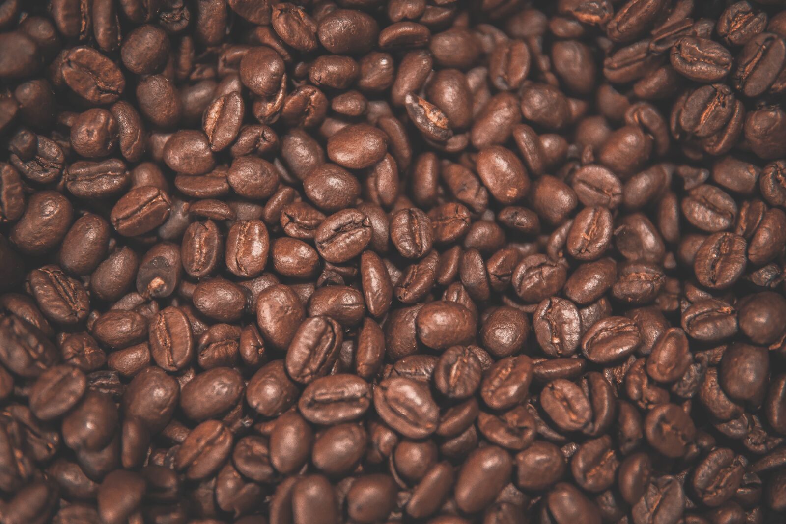 30mm F1.4 DC DN | Contemporary 016 sample photo. Color, flavor, aroma photography