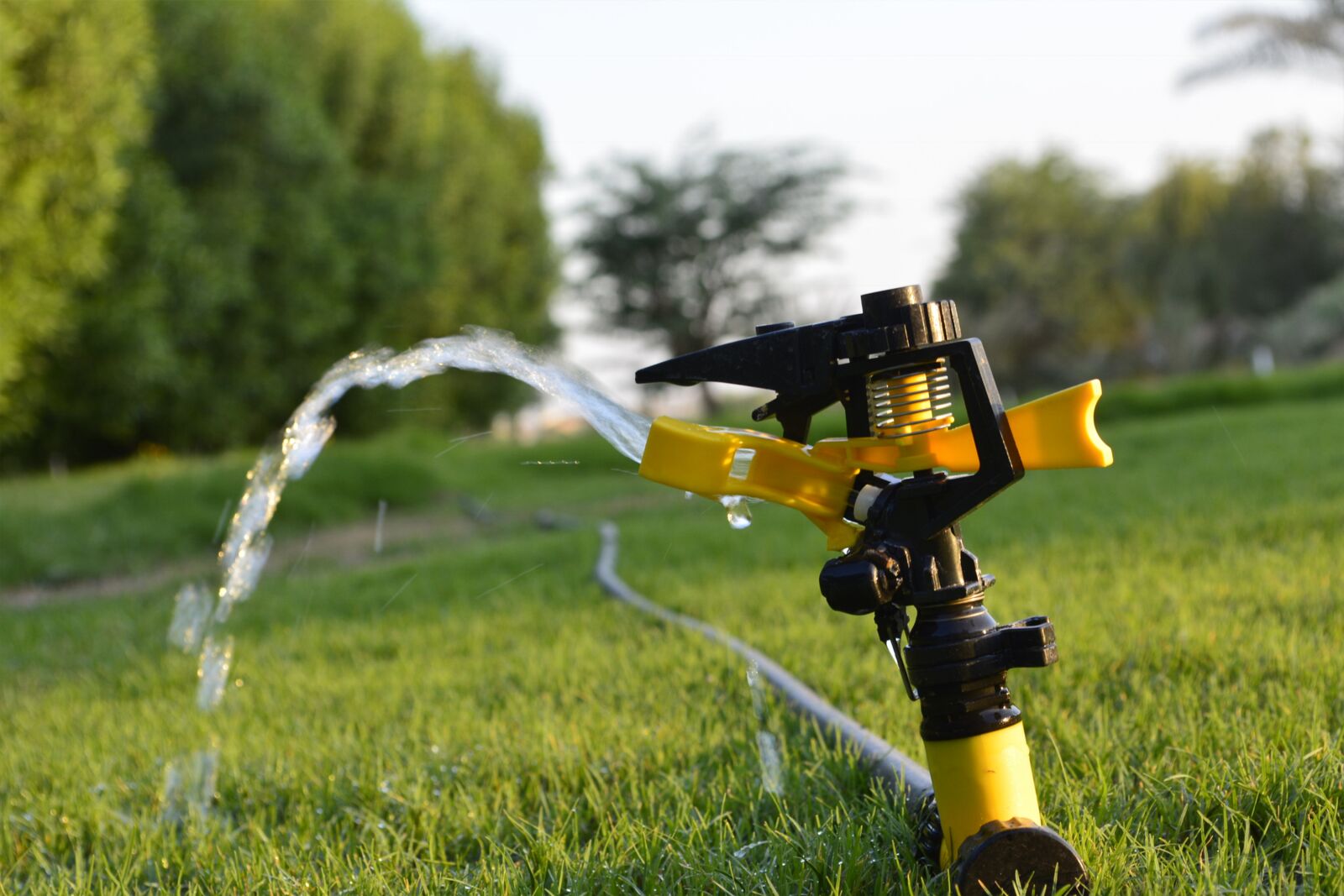 Nikon D5200 sample photo. Water, garden, city photography