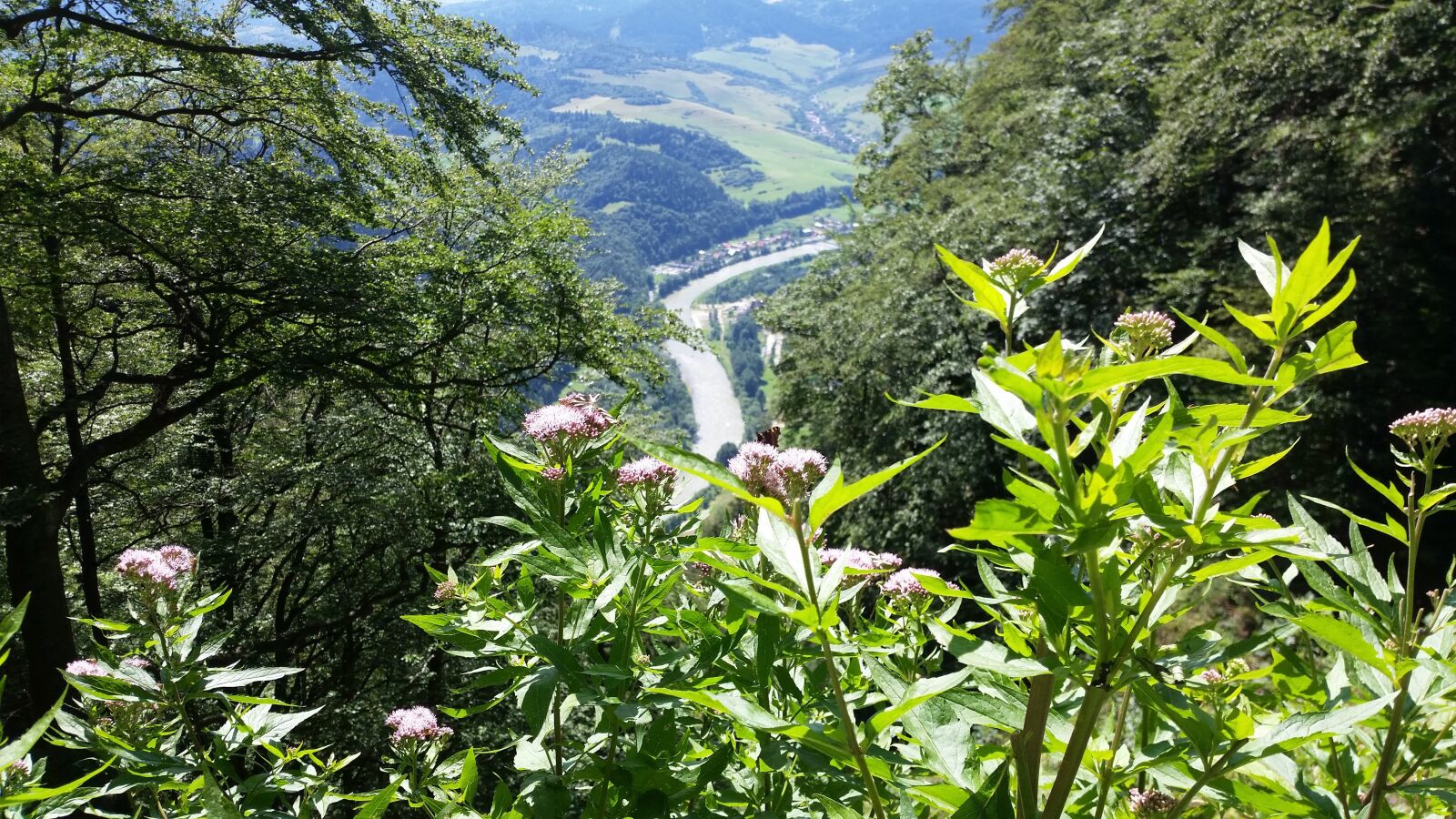 Samsung Galaxy S5 sample photo. Dunajec, pieniny, góry photography