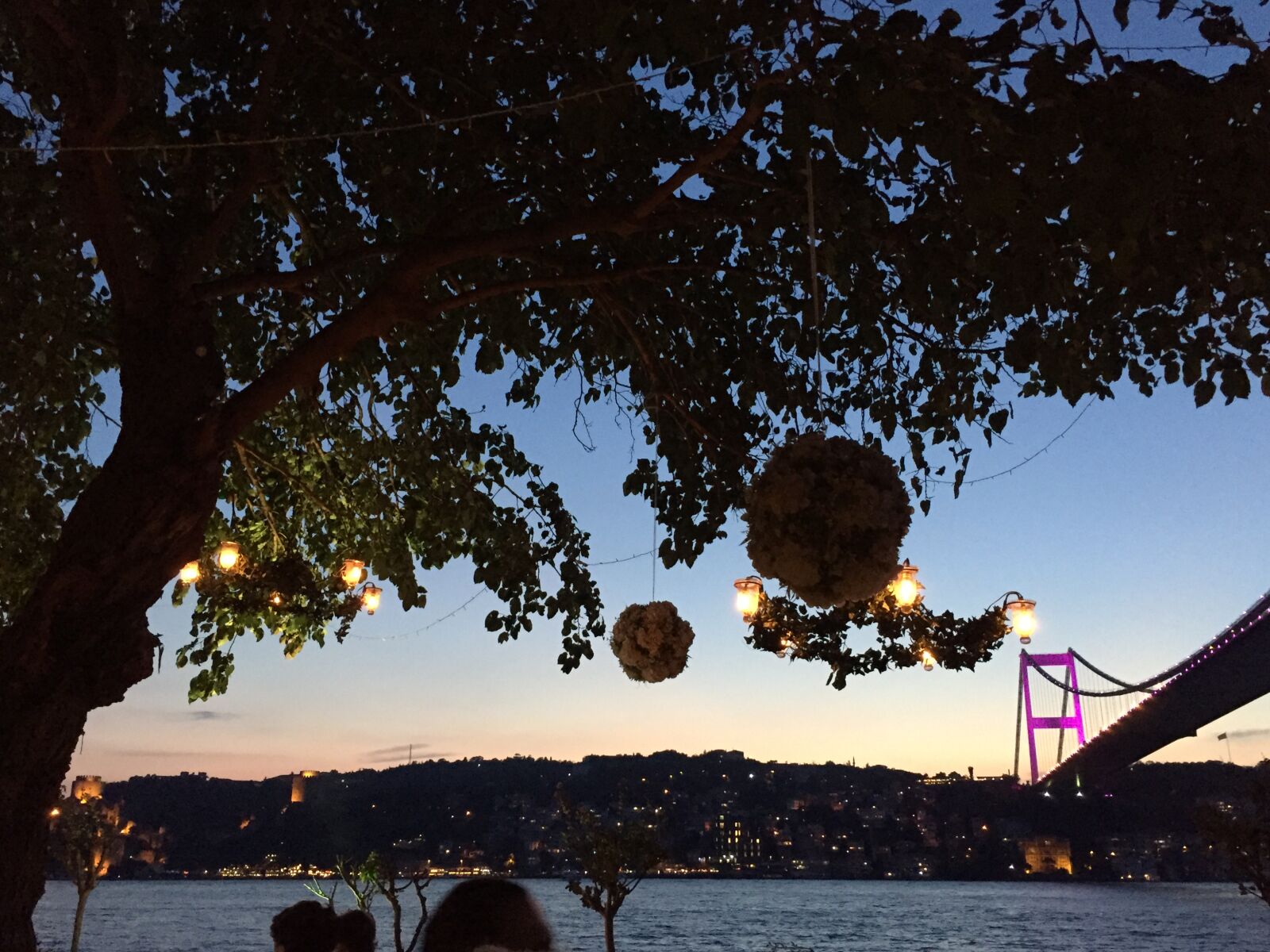 iPhone 6 back camera 4.15mm f/2.2 sample photo. Bosphorus, bridge, wedding, party photography
