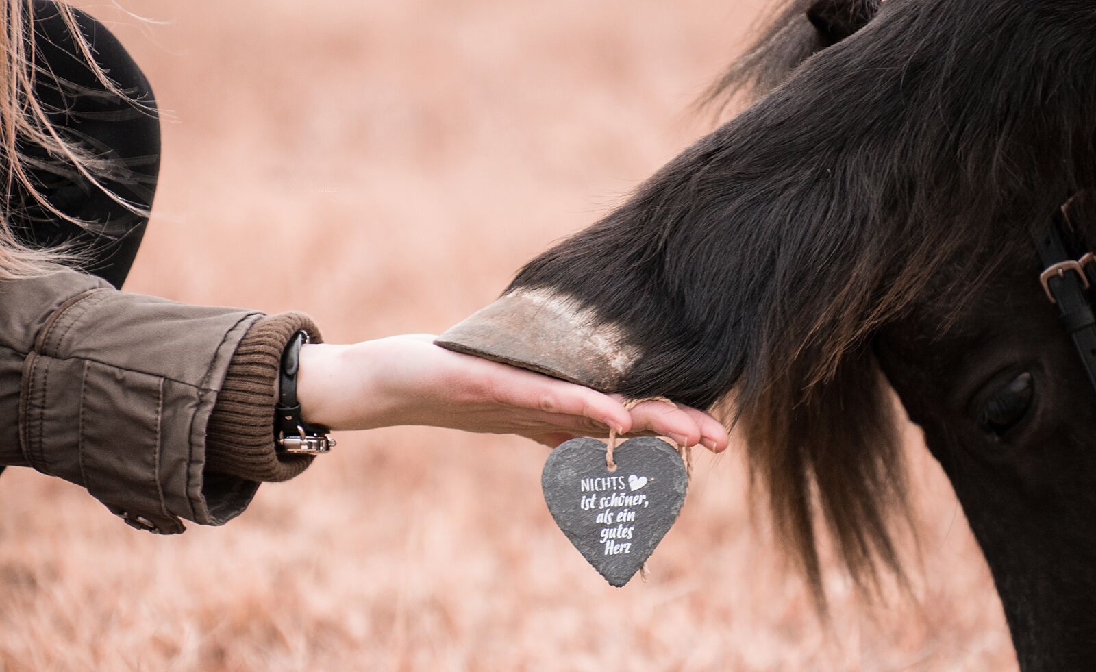 Nikon D3300 sample photo. Huf, hand, animal photography