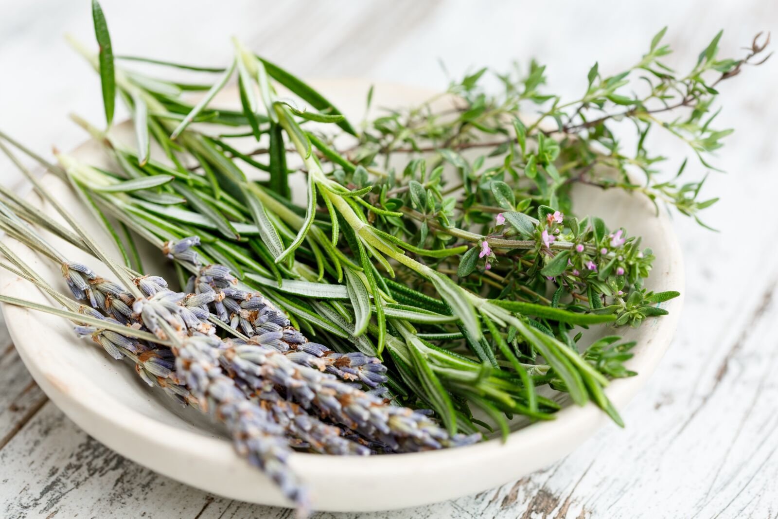 Canon EF 100mm F2.8 Macro USM sample photo. Herbs, french, bouquet photography