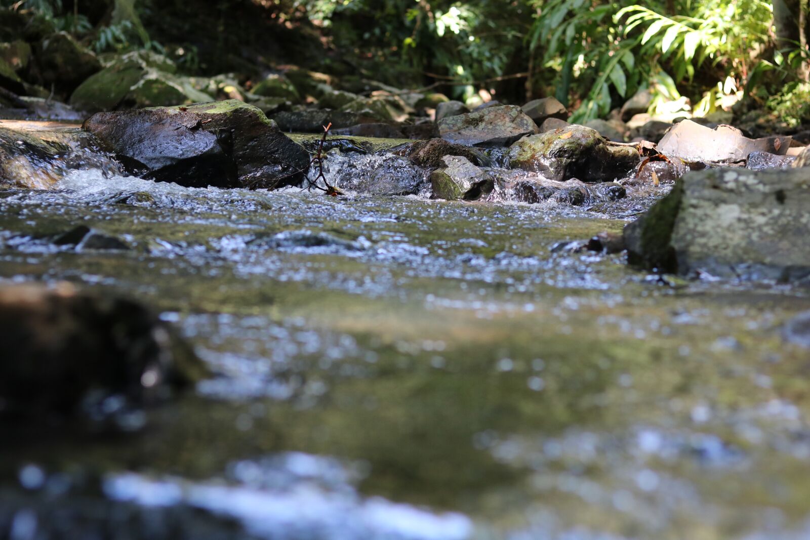 Canon EOS 750D (EOS Rebel T6i / EOS Kiss X8i) + Canon EF 50mm F1.8 STM sample photo. Rio, water, nature photography