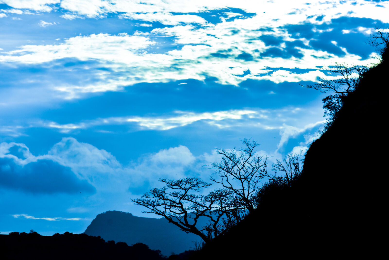 Nikon D3400 sample photo. Bluesky, dark, mountain, tree photography