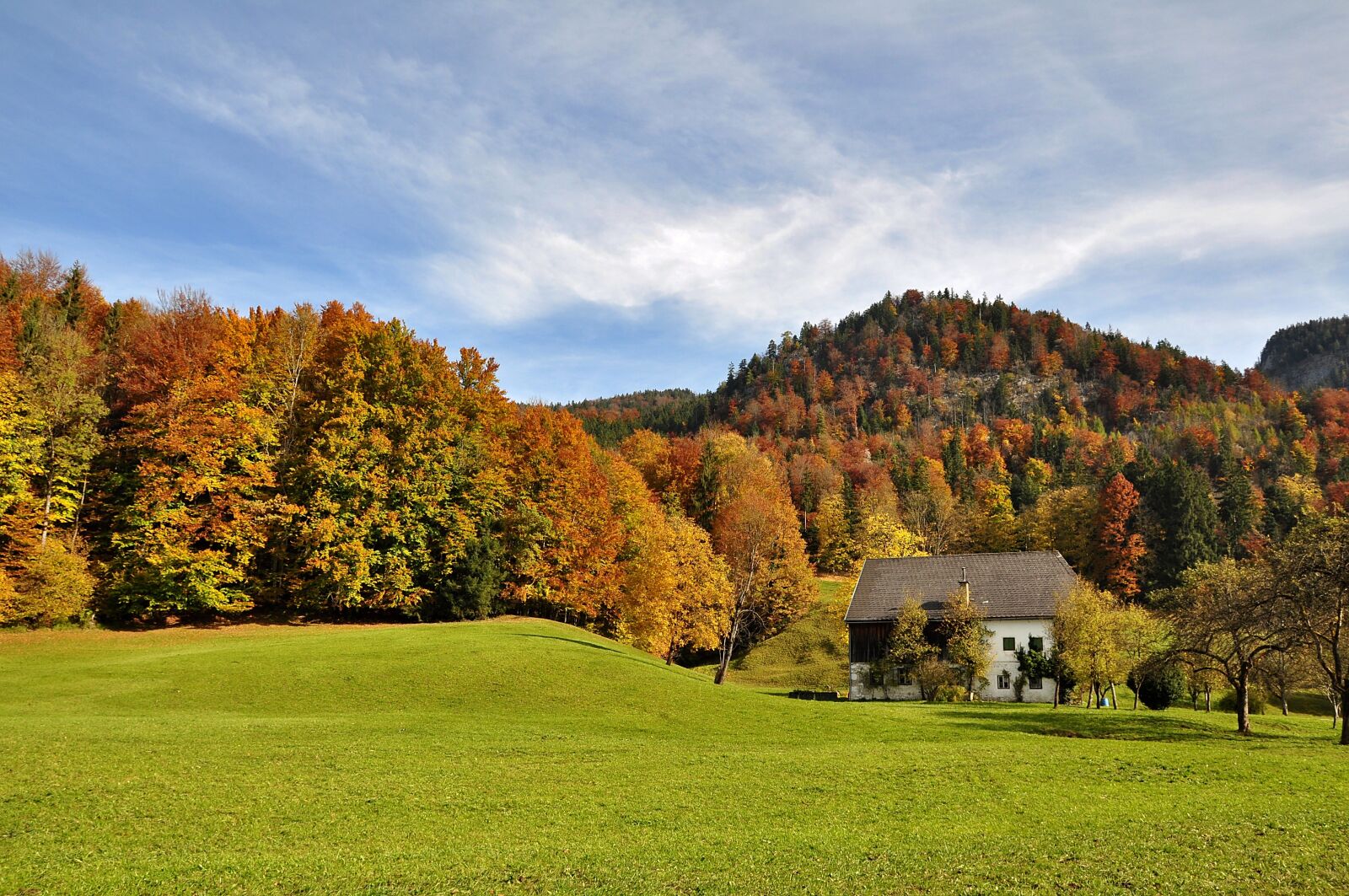 Nikon D90 sample photo. Autumn, golden autumn, autumn photography
