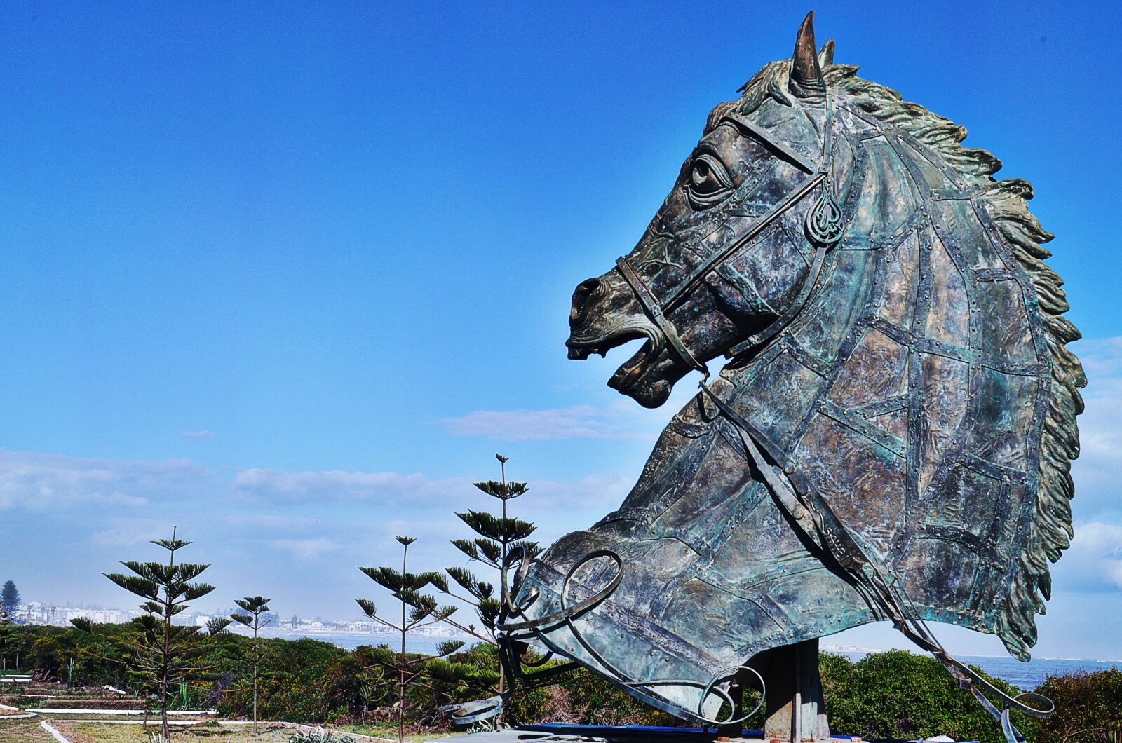 Nikon D5100 sample photo. Statue, horse, sculpture photography