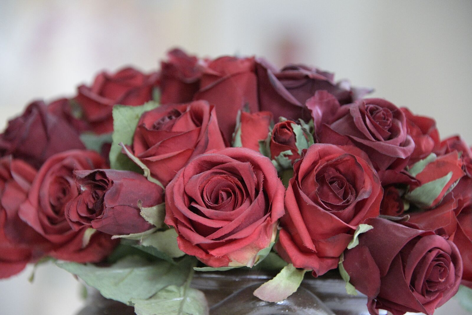 Nikon D850 sample photo. Roses, red, closeup photography