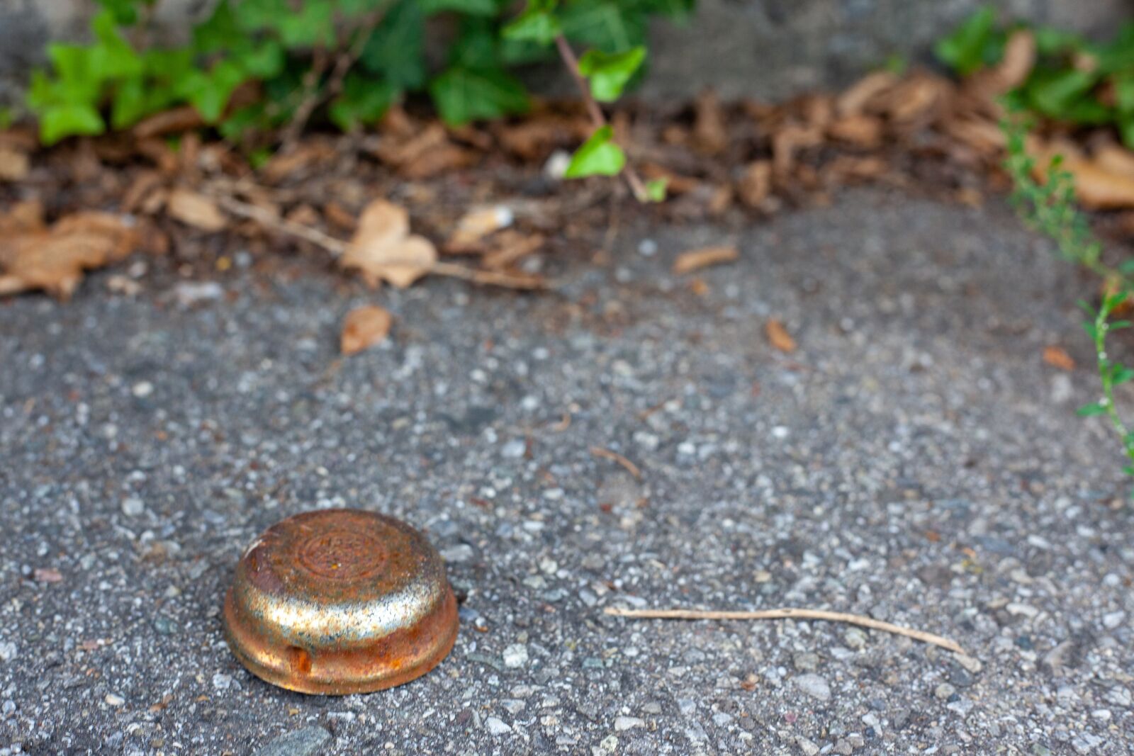 Canon EF 50mm F1.8 II sample photo. Metal, radklingel, bike bell photography