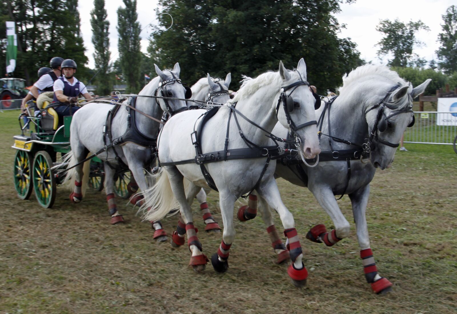 Canon EOS 500D (EOS Rebel T1i / EOS Kiss X3) sample photo. Cavalry, horse, tableware photography