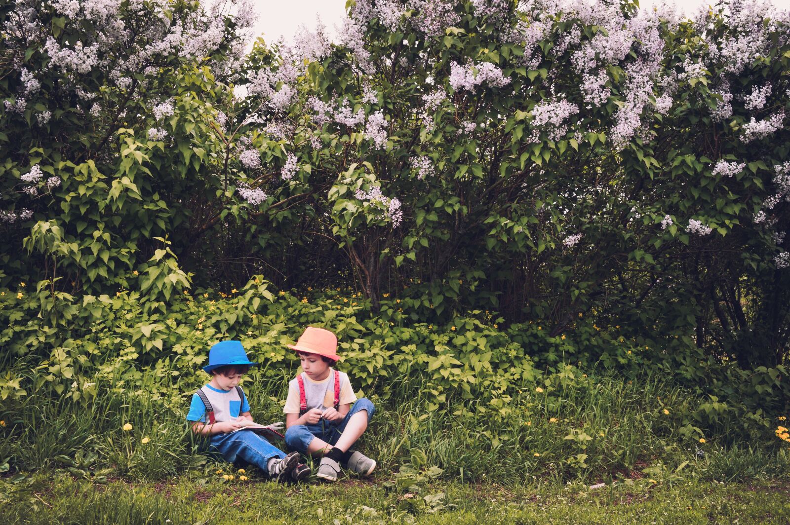 Nikon D3200 sample photo. Park, garden, kids photography