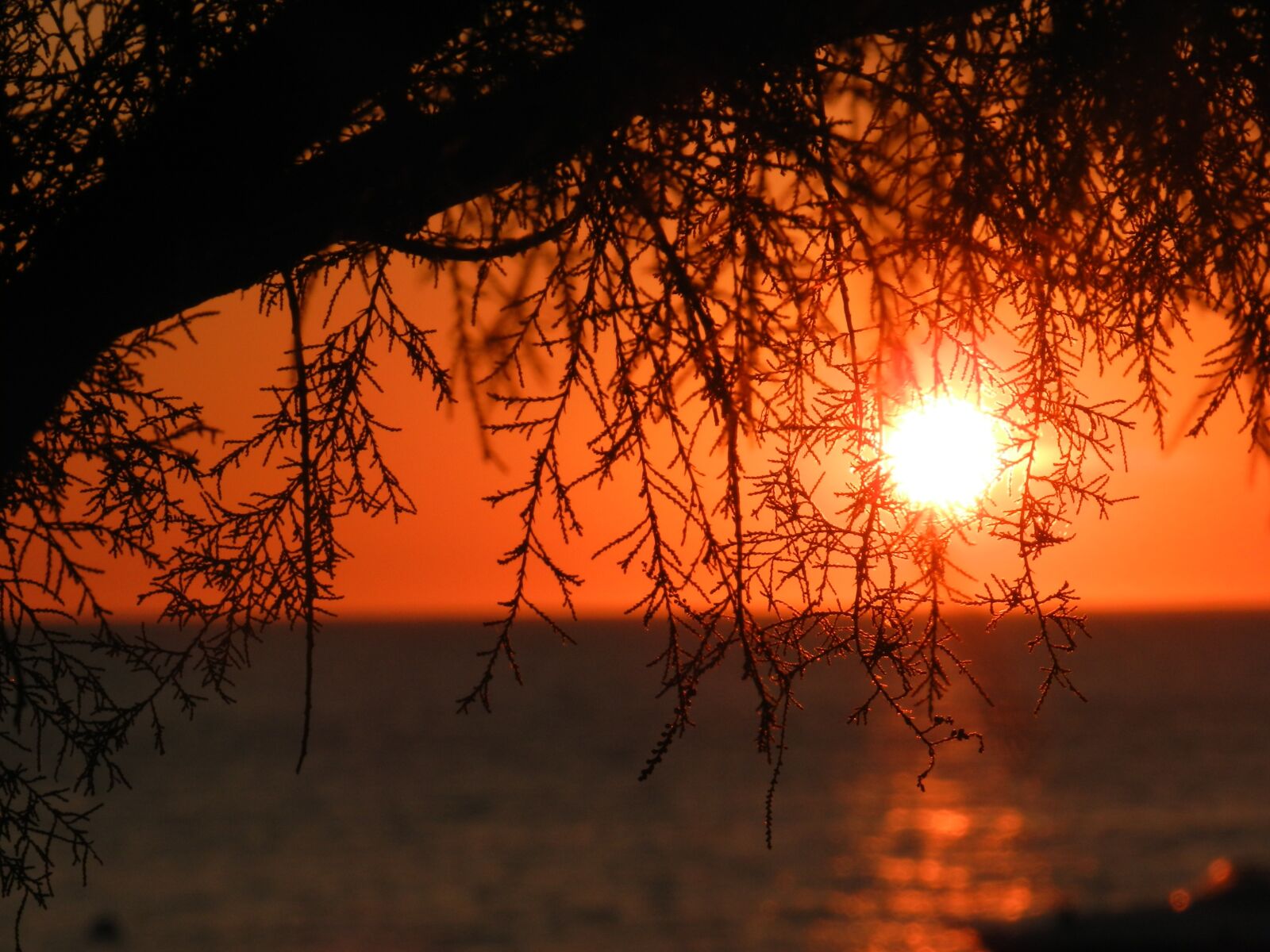 Nikon Coolpix P500 sample photo. Sea, sunset, sun photography