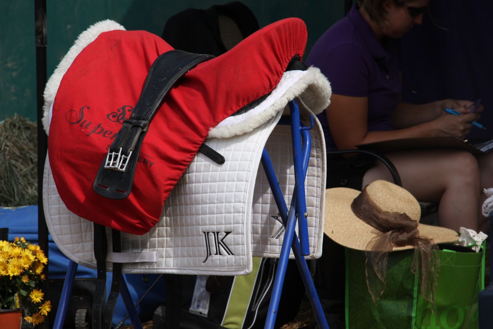Canon EOS 40D sample photo. English saddle, horse show photography