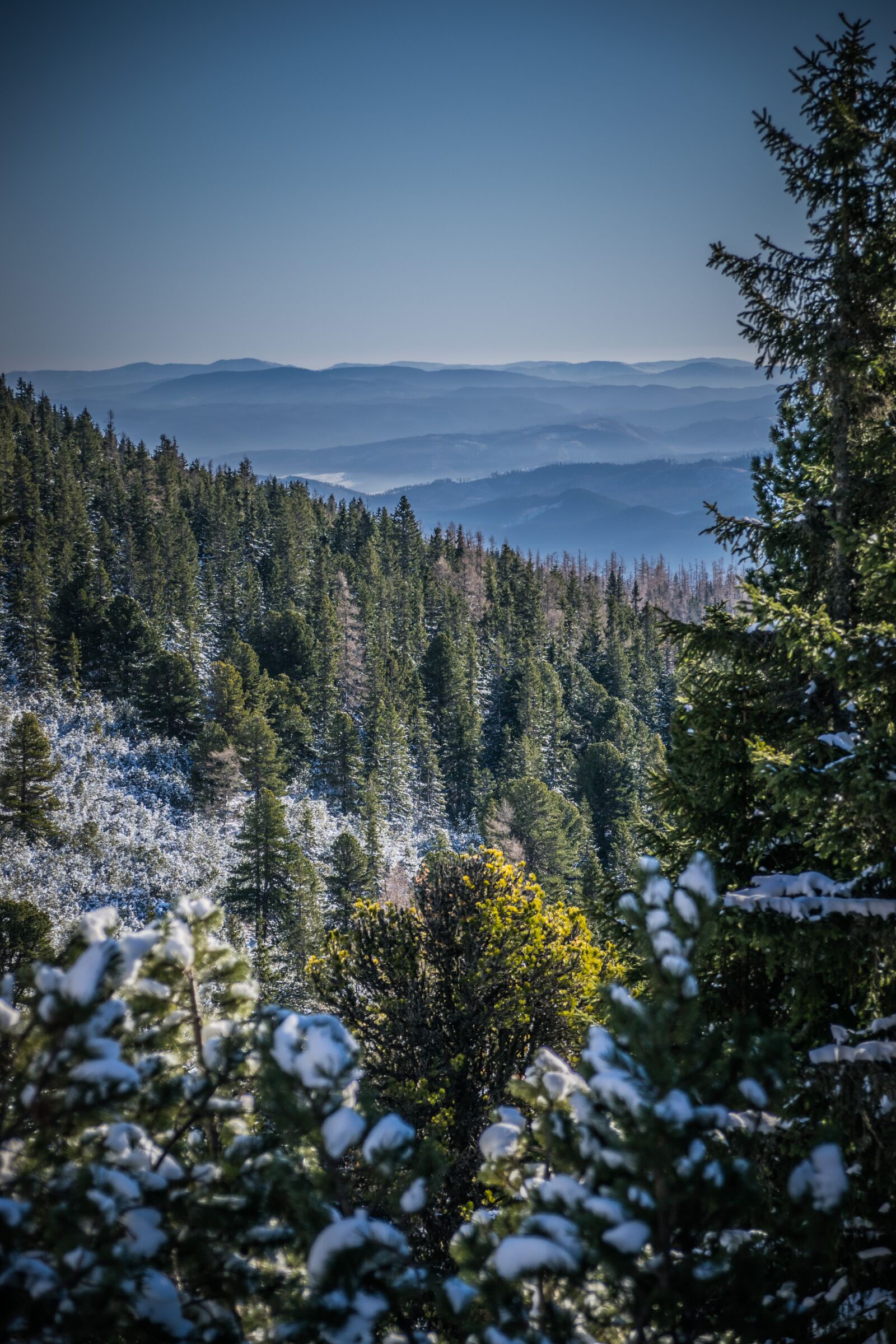 Nikon D5300 sample photo. Mountains, winter, snow photography