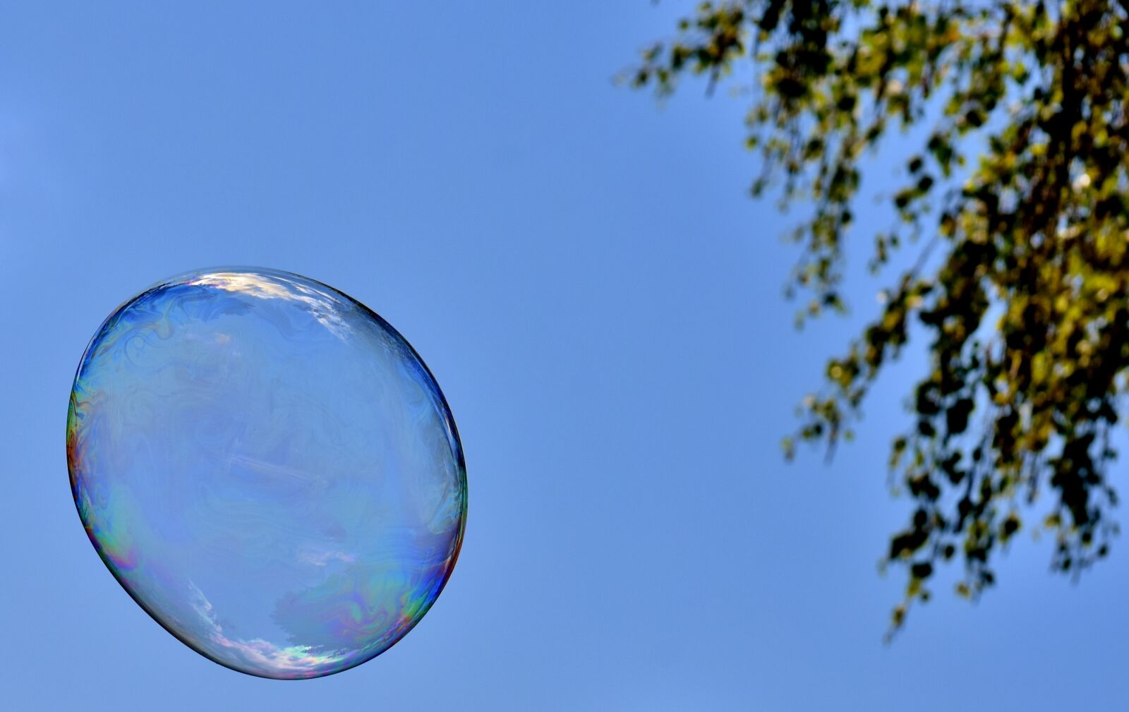 Nikon D7200 sample photo. Soap bubble, huge, large photography