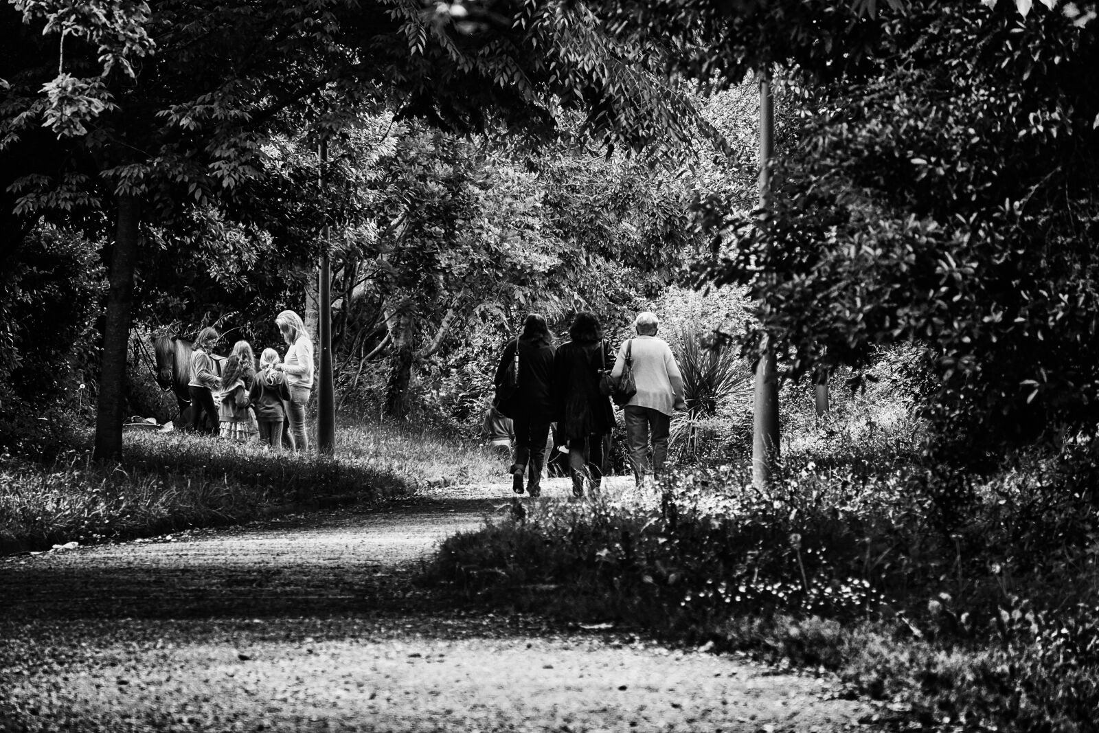 Sony E 55-210mm F4.5-6.3 OSS sample photo. Black, and, white, photo photography
