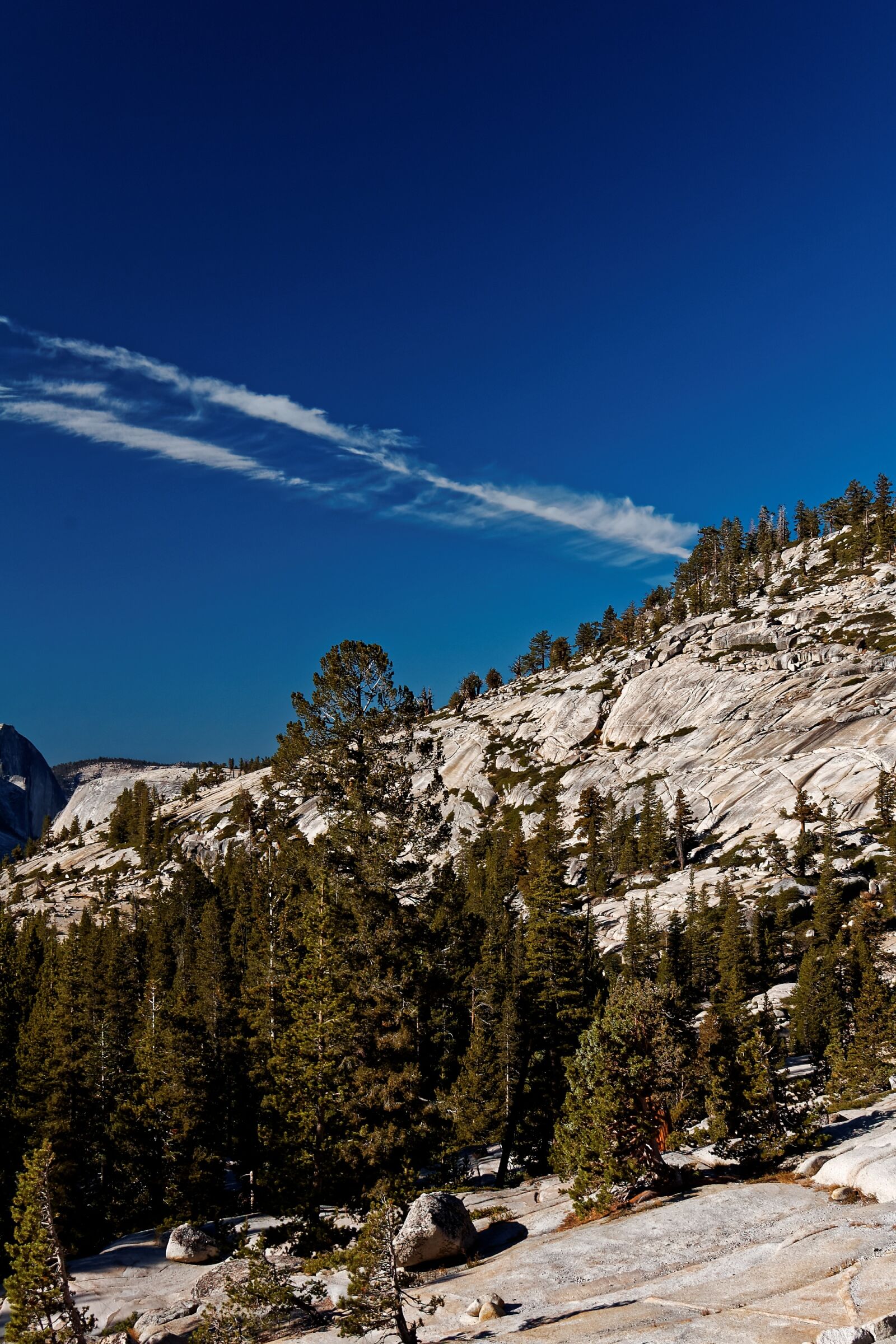Nikon D50 sample photo. California, national park, usa photography