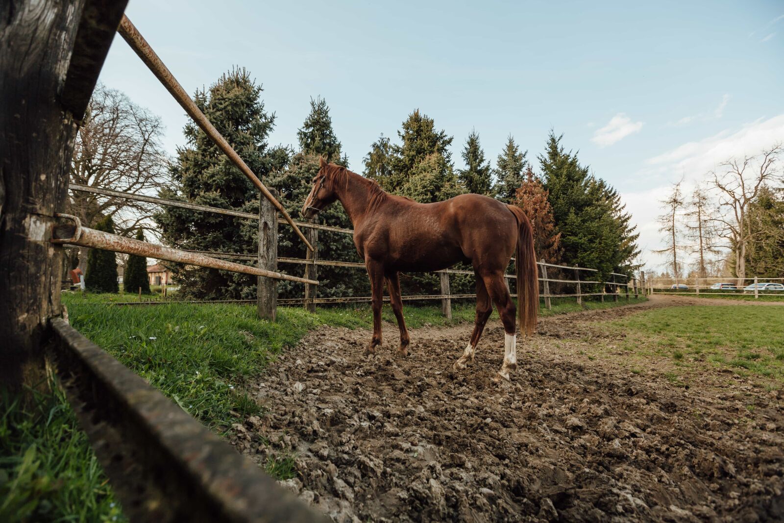Canon EF 16-35mm F2.8L II USM sample photo. Farmland, light brown, ranch photography