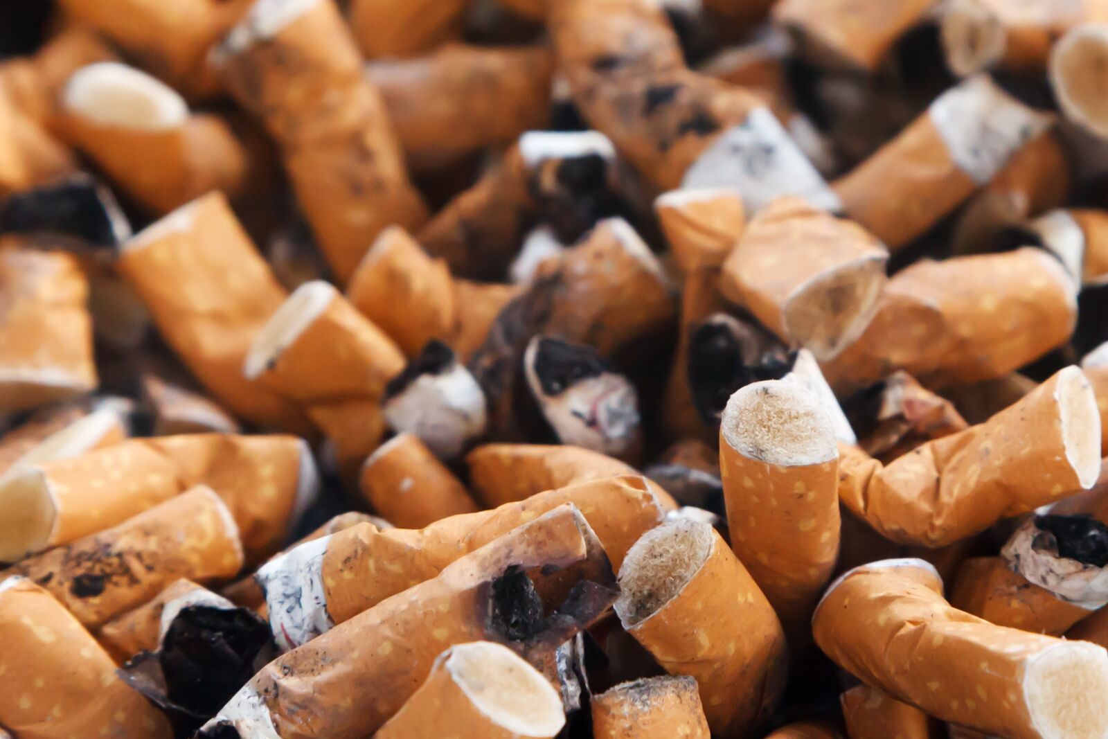 Canon EOS 5D Mark II sample photo. Dirty, addiction, cigarette, unhealthy photography